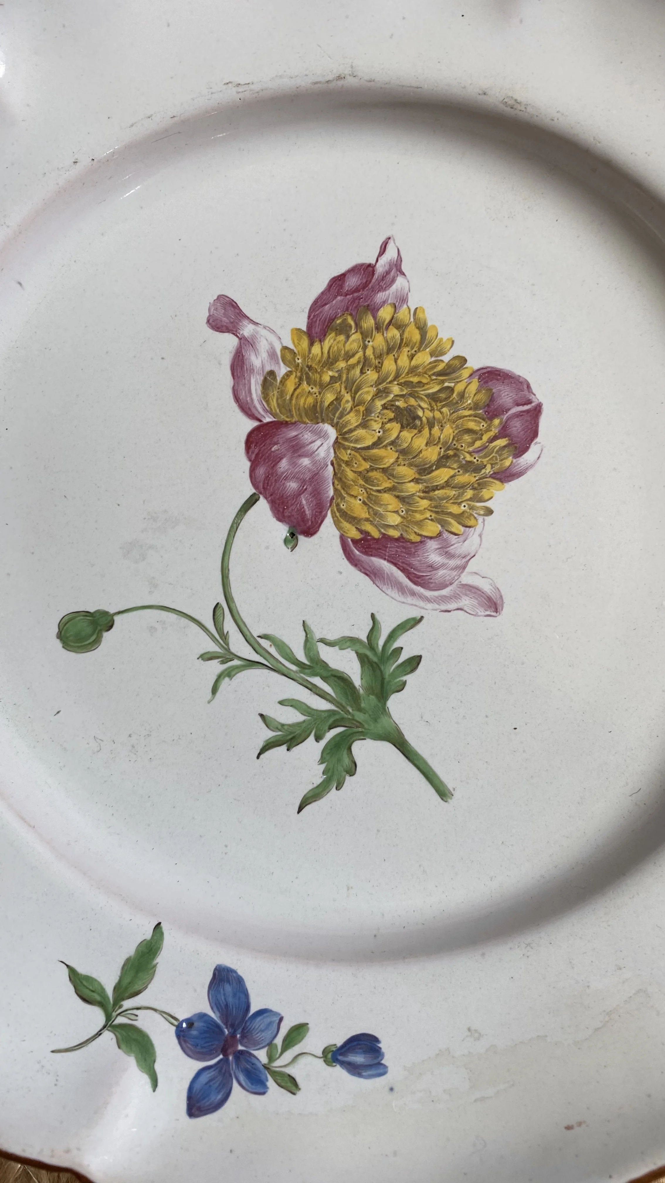 IMG_5077.jpeg
