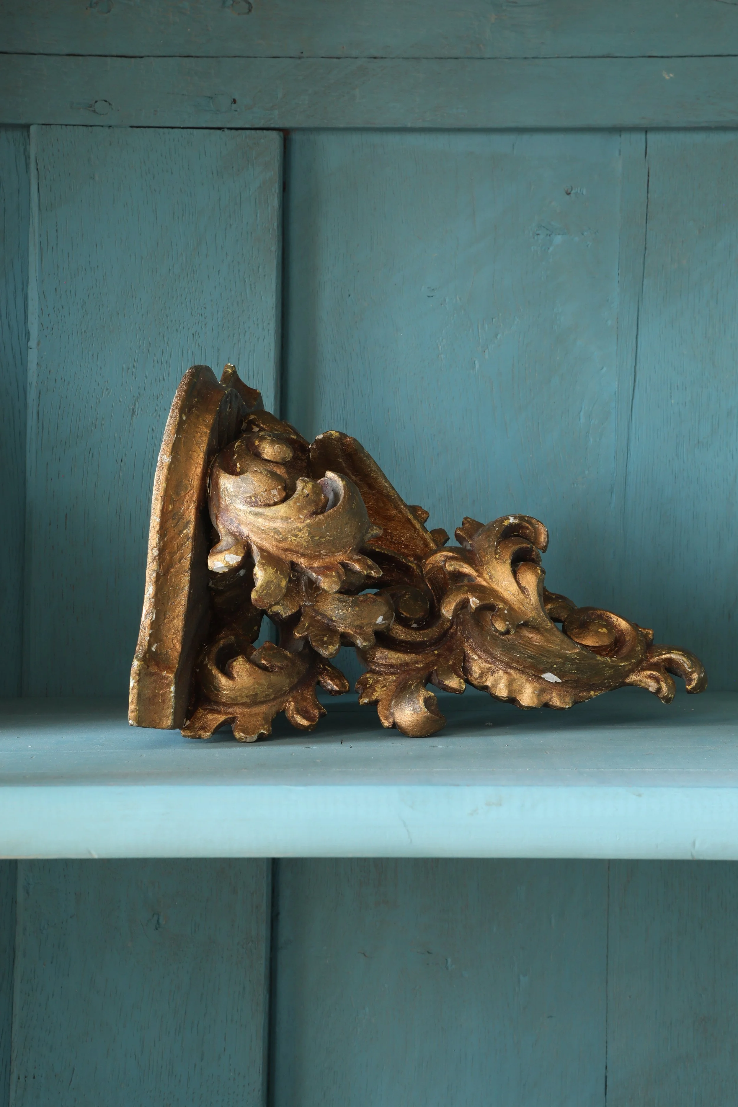 Curio Shop Spring 20243979.jpg