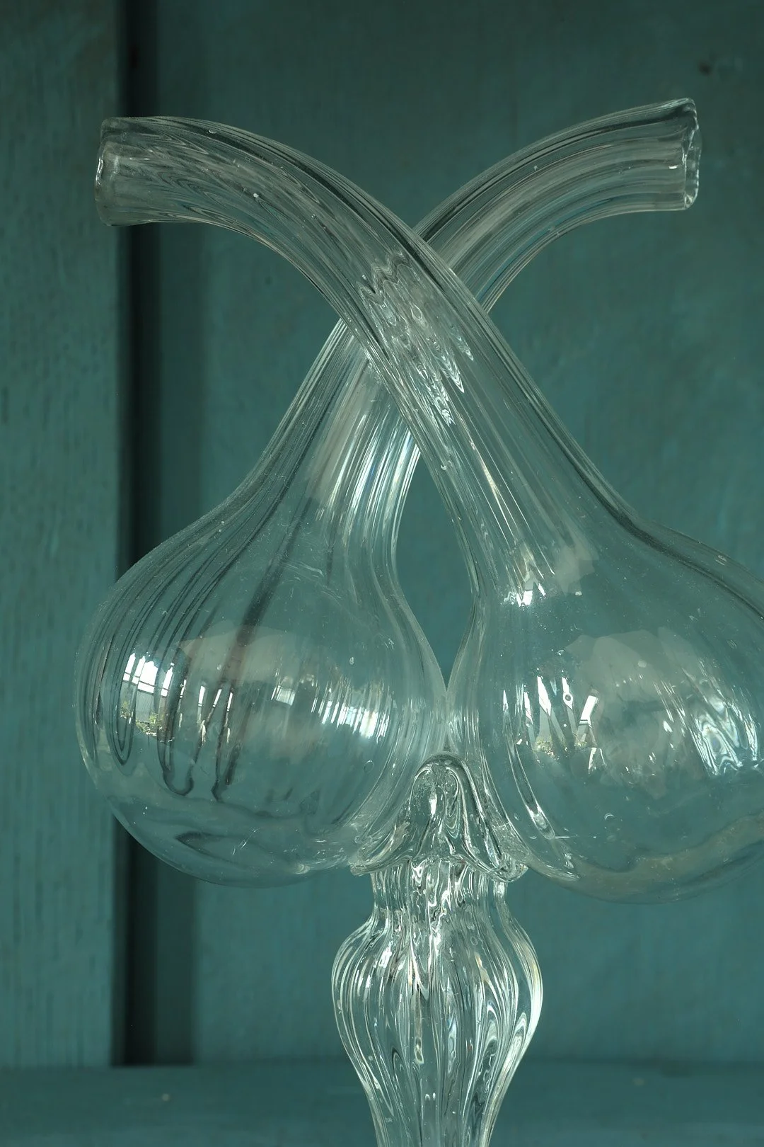 Curio Shop Spring 20244762.jpg