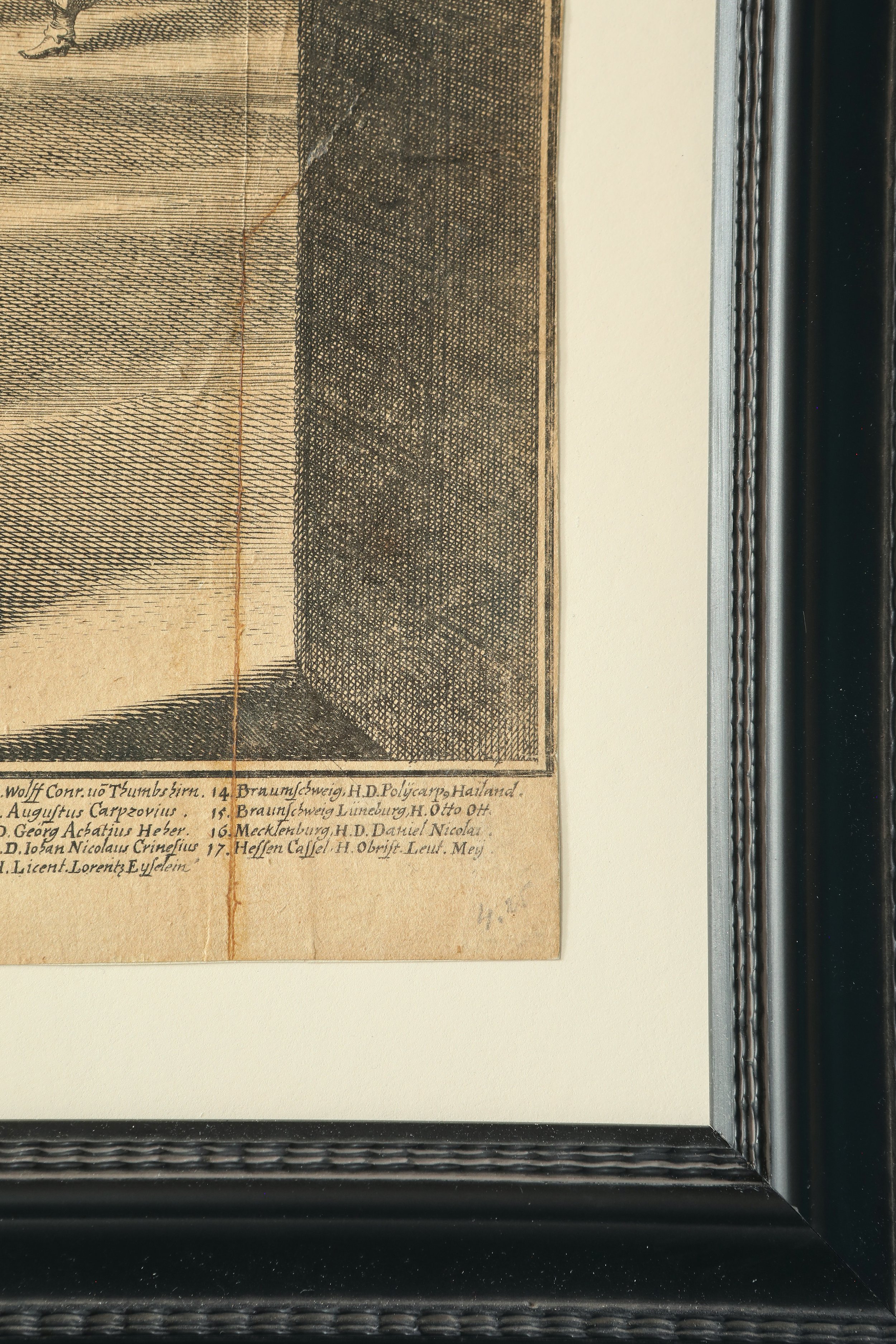 Curio Shop Spring 20241941 2.jpg