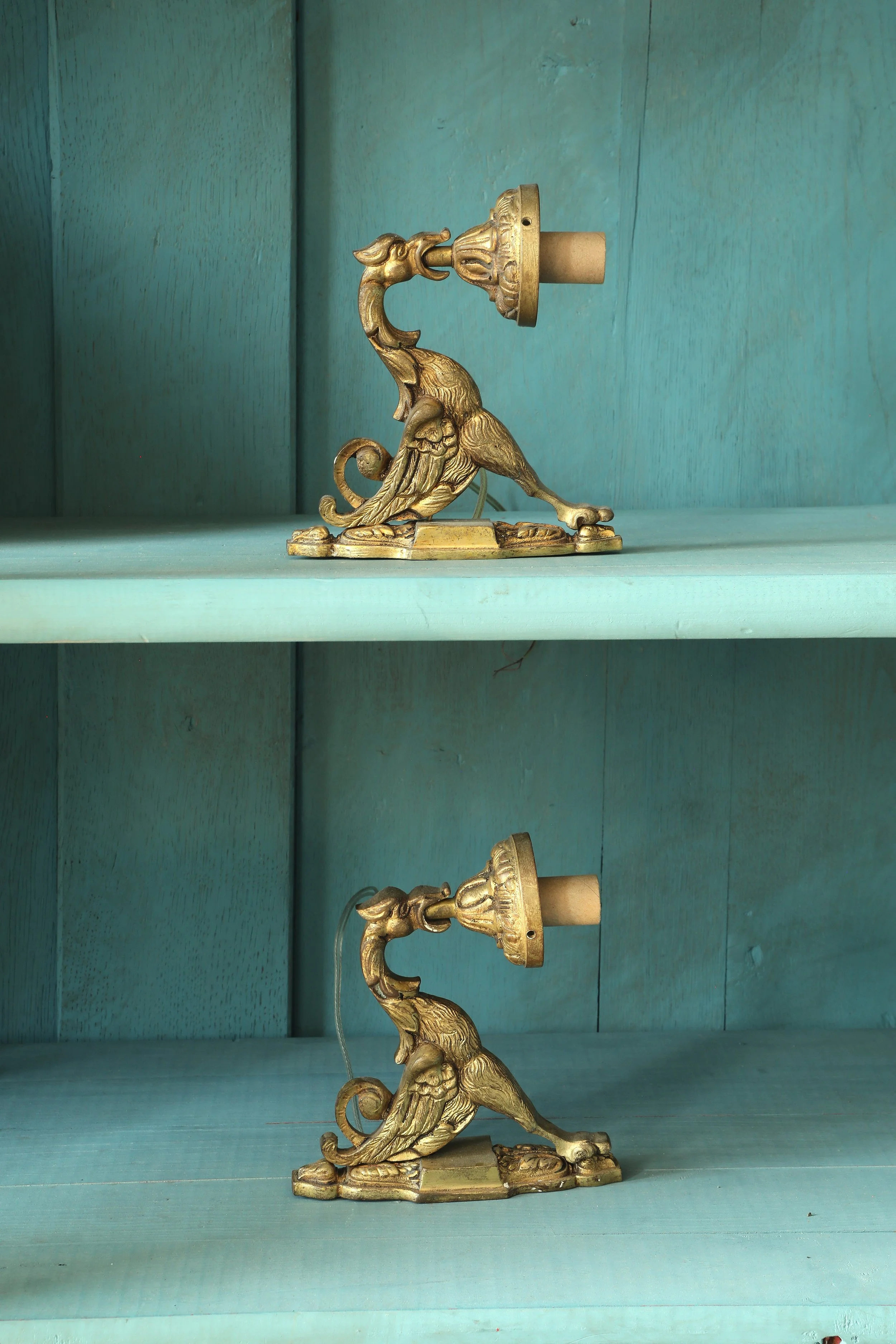 Curio Shop Spring 20243972.jpg