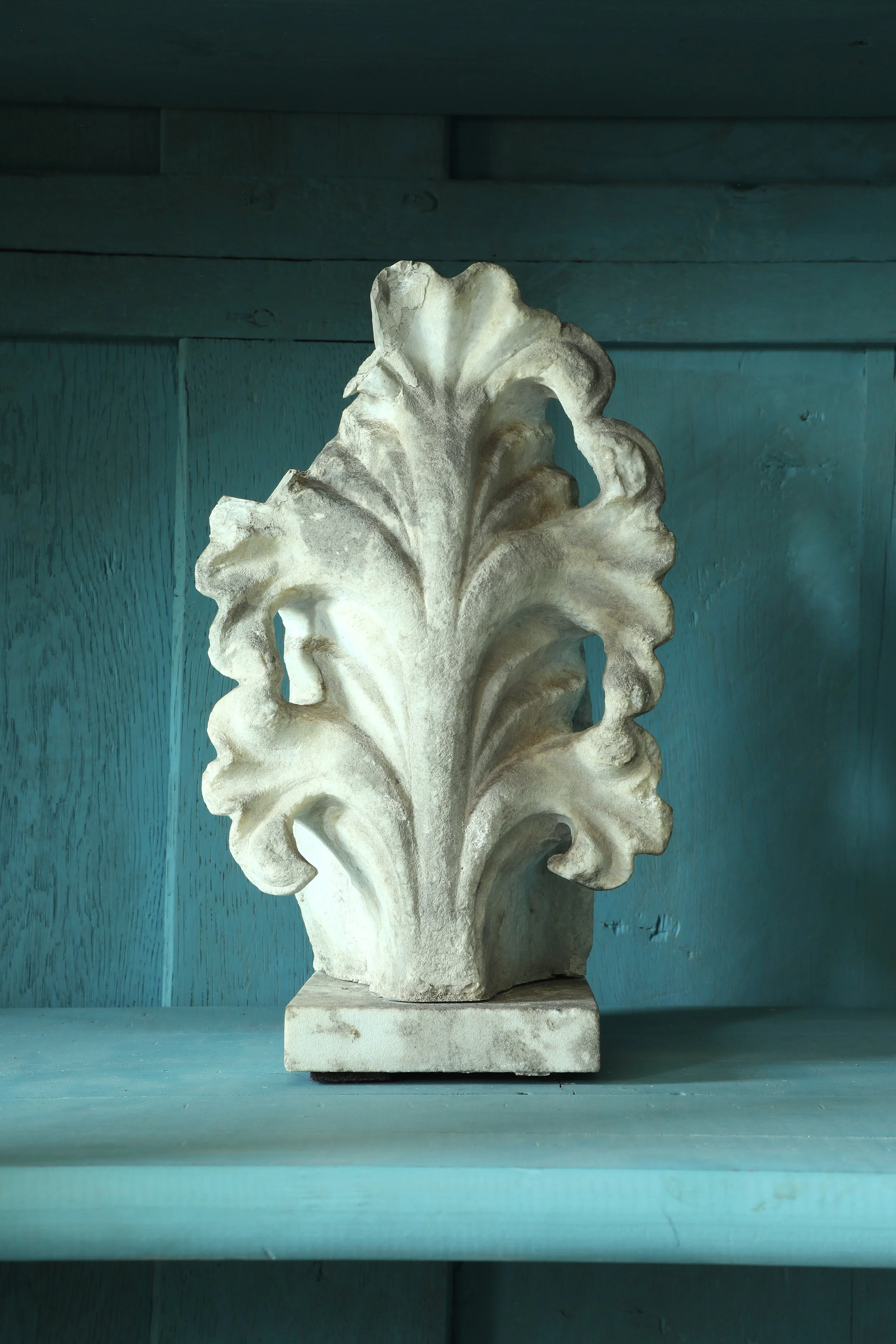 Curio Shop Spring 20244316.jpg