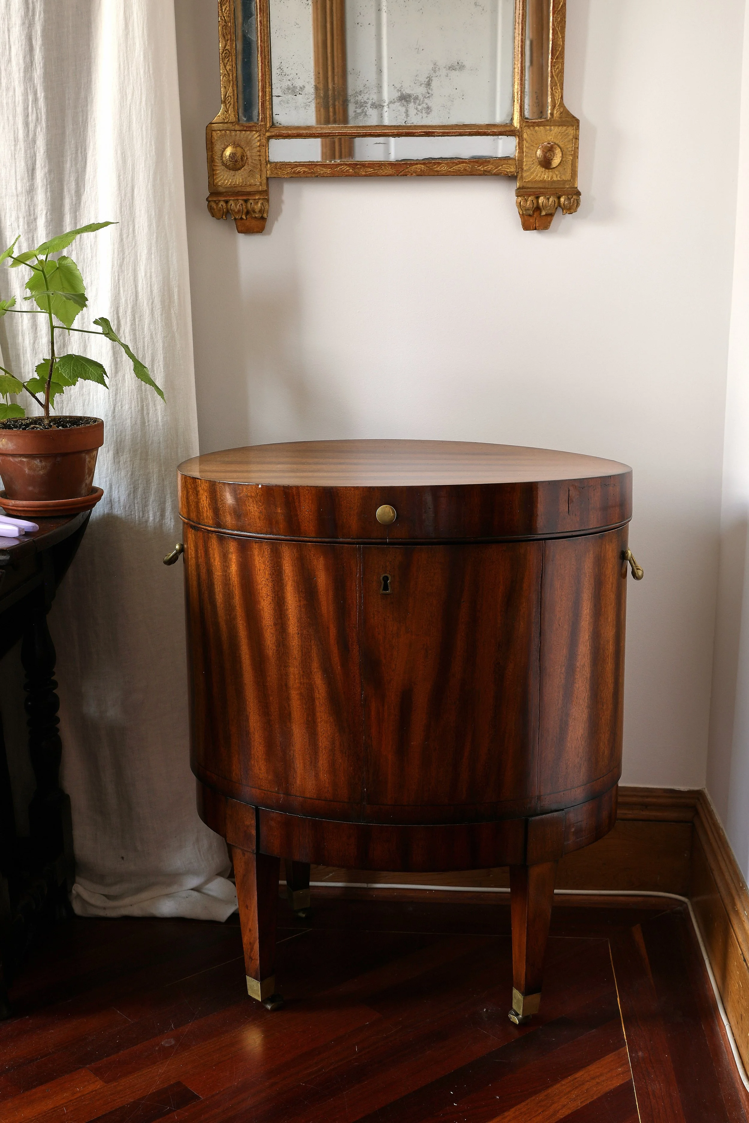 Curio Shop Spring 20247075 2.jpg