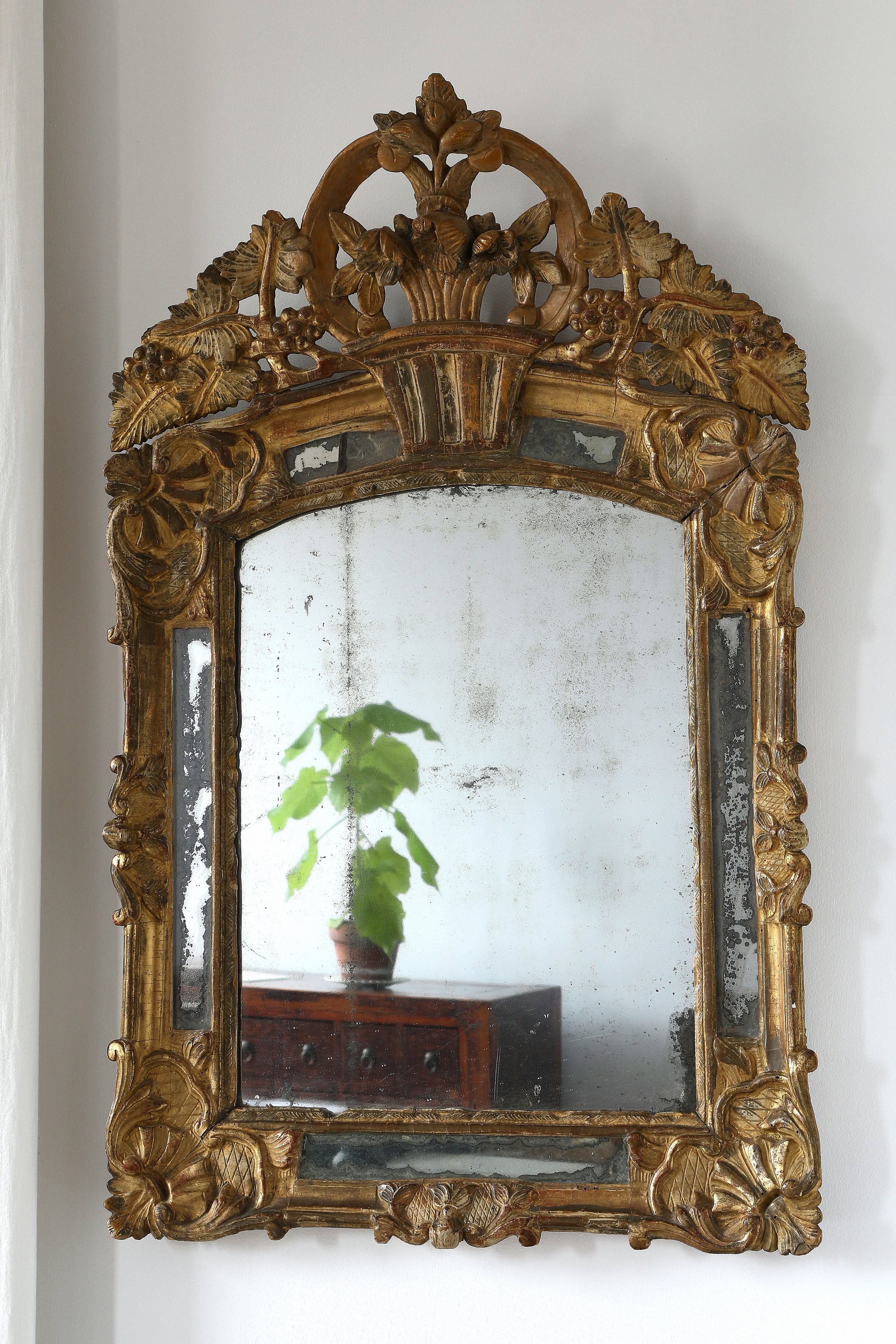 Curio Shop Spring 20242060 4.jpg