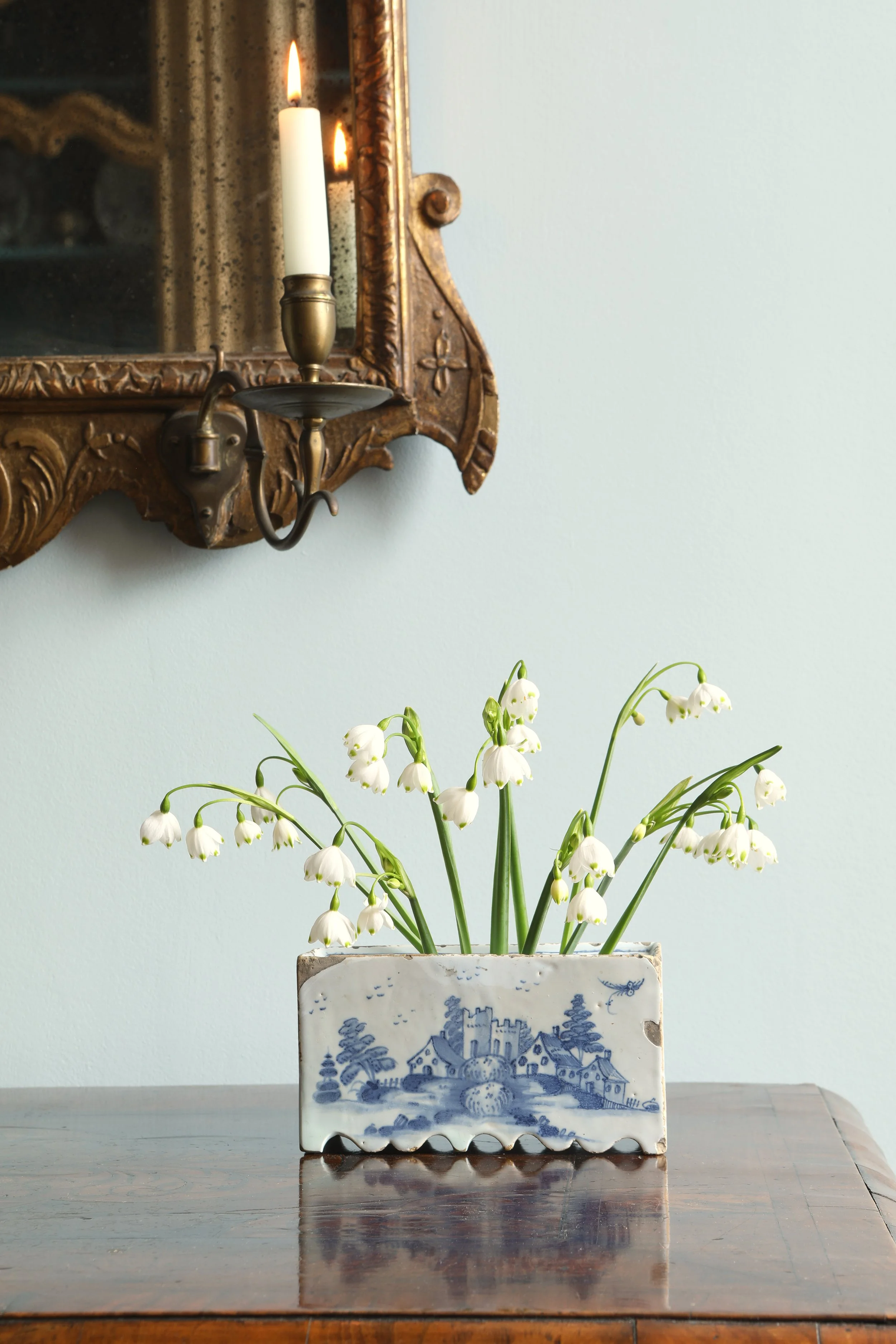 Curio Shop Spring 20243720 1.jpg