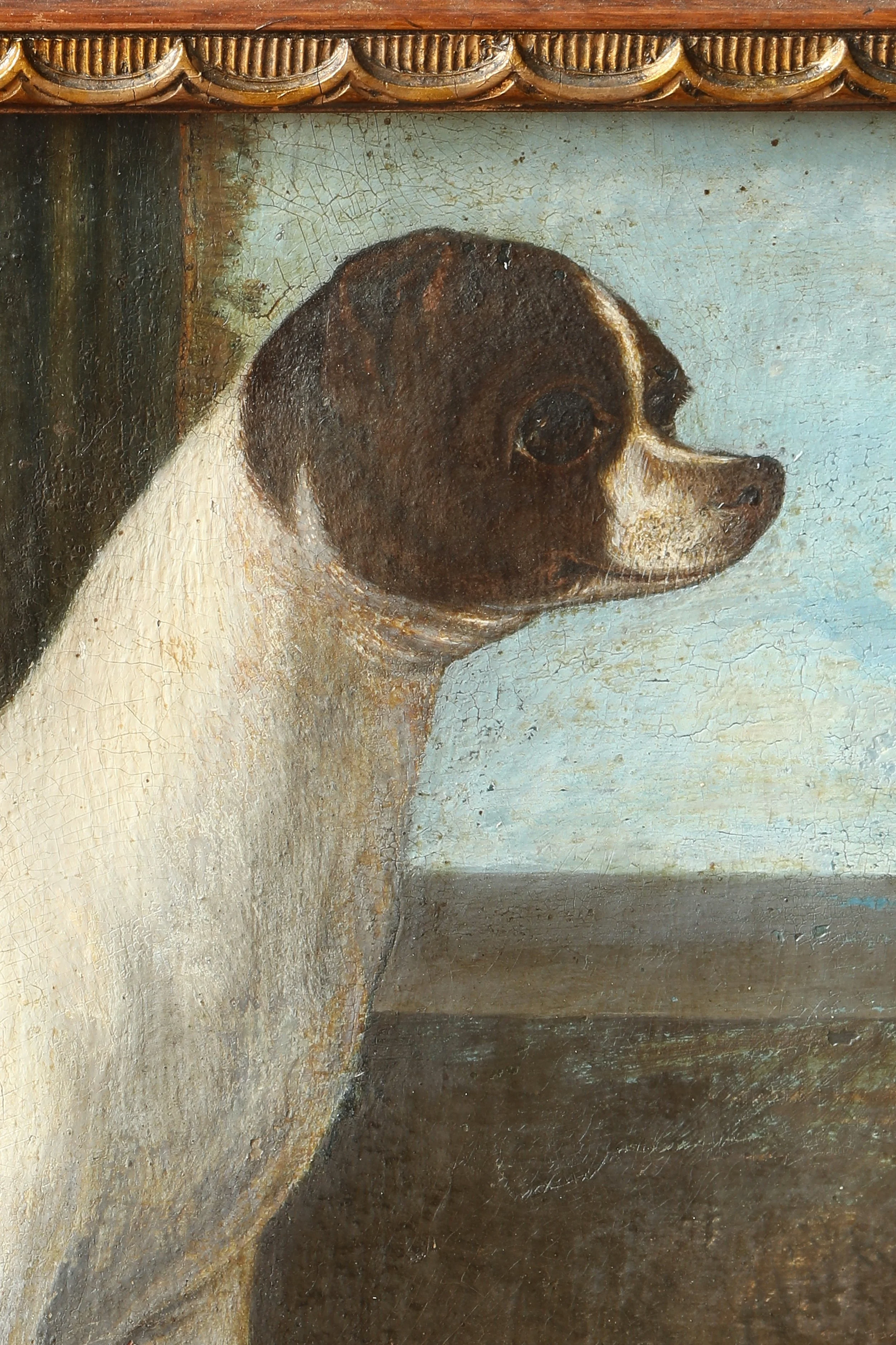 Curio Shop Spring 20244117 1.jpg