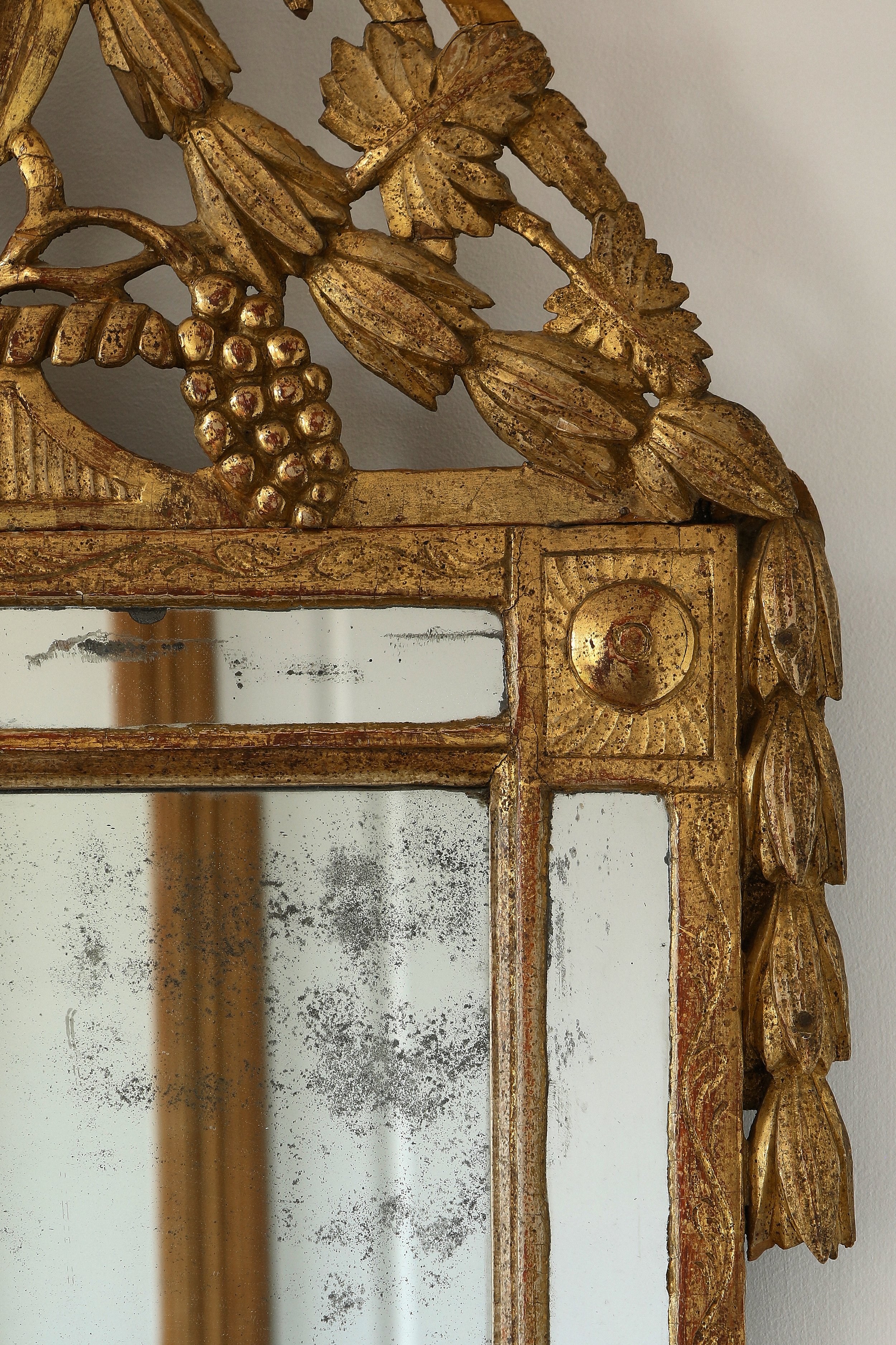 Curio Shop Spring 20246691.jpg