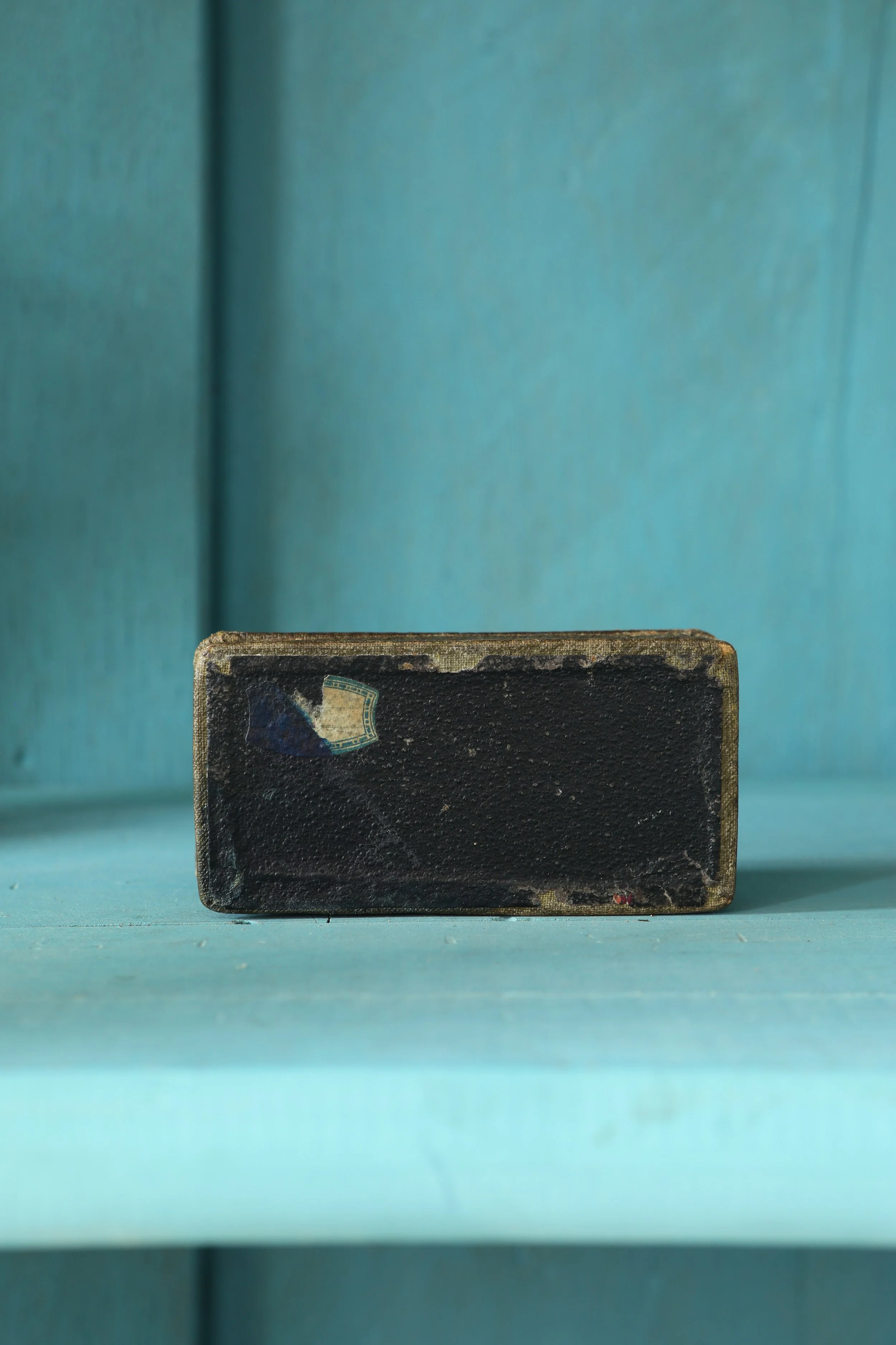 Curio Shop Spring 20243677.jpg