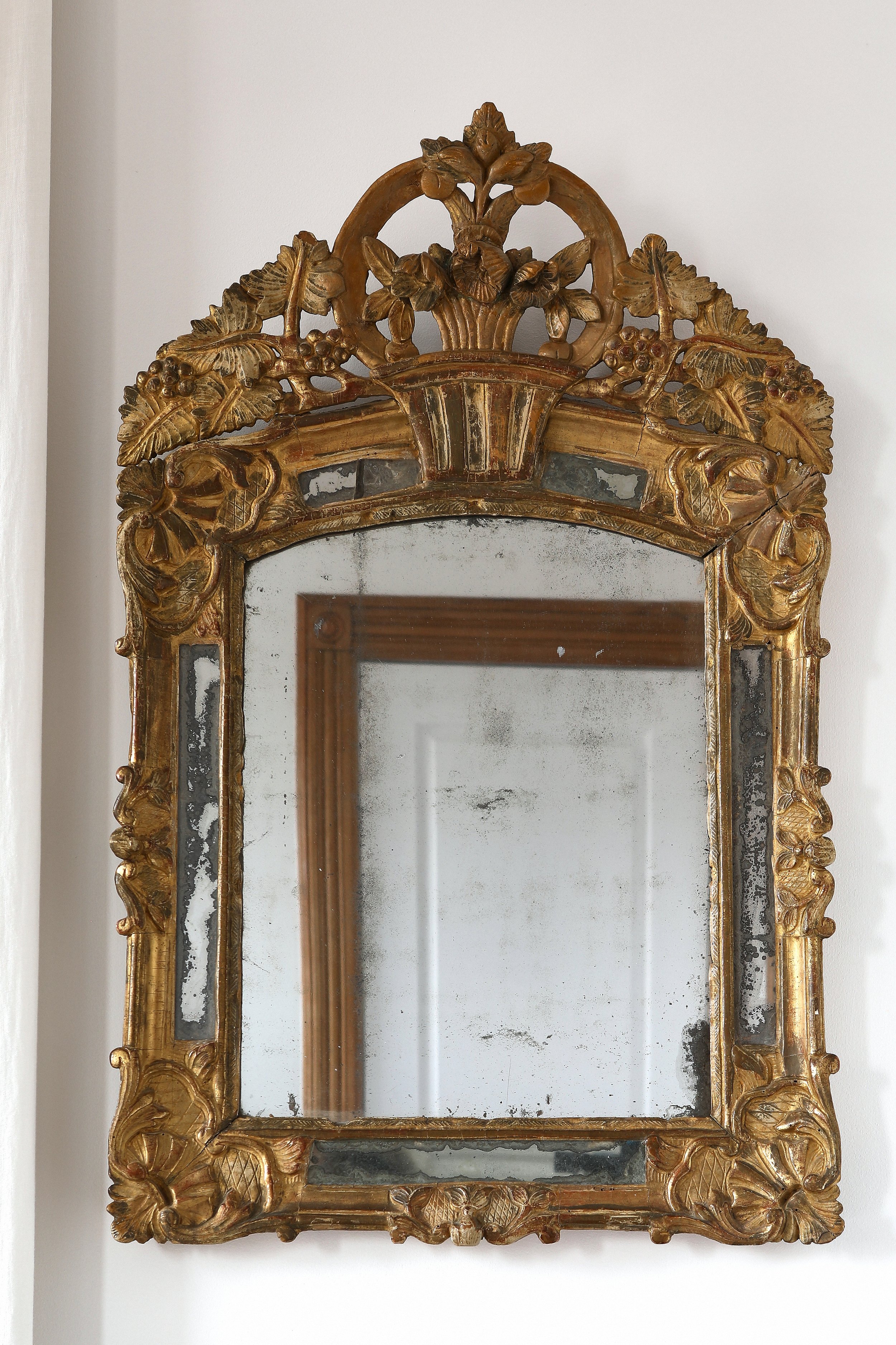 Curio Shop Spring 20242012 1.jpg