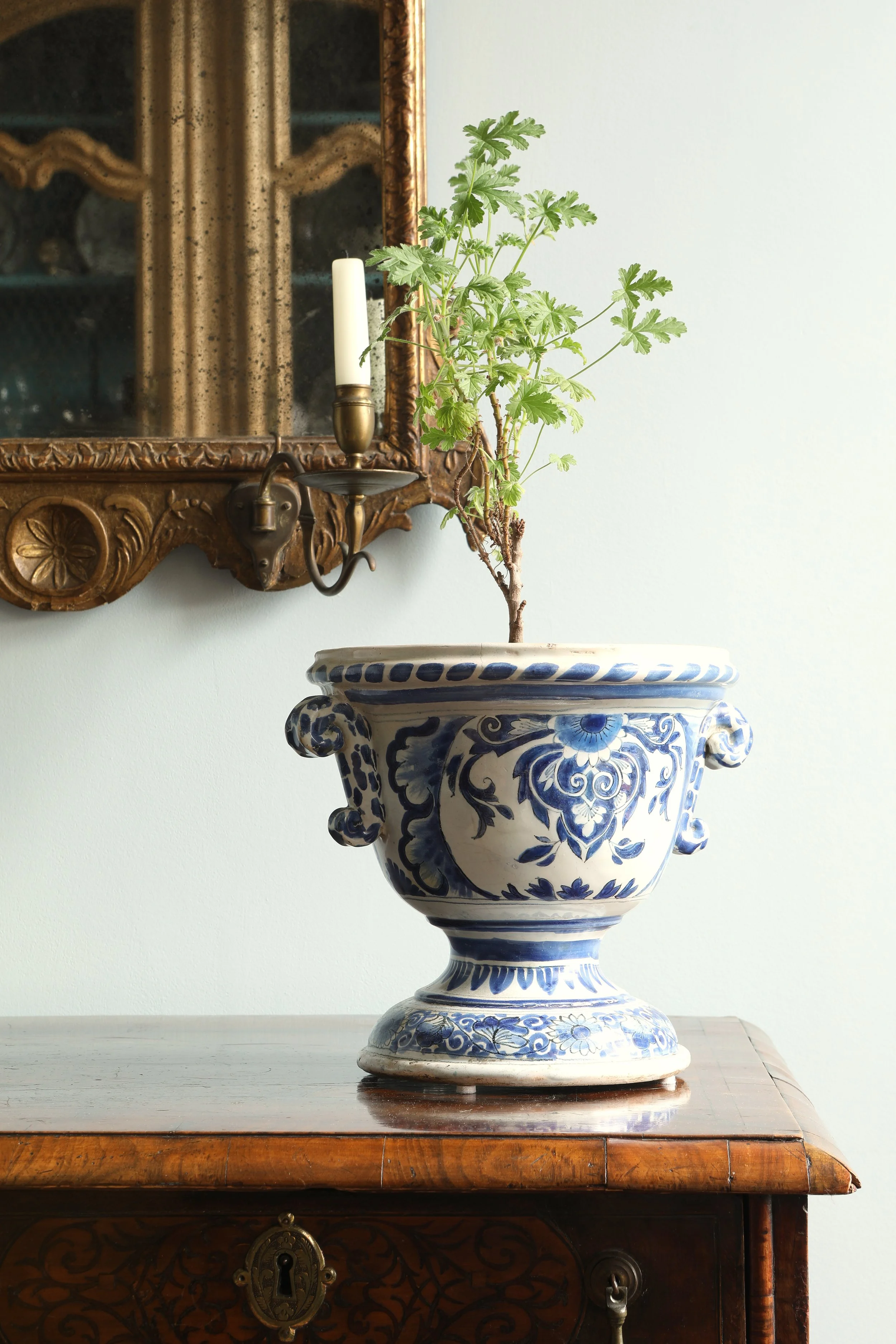 Curio Shop Spring 20243818 2.jpg