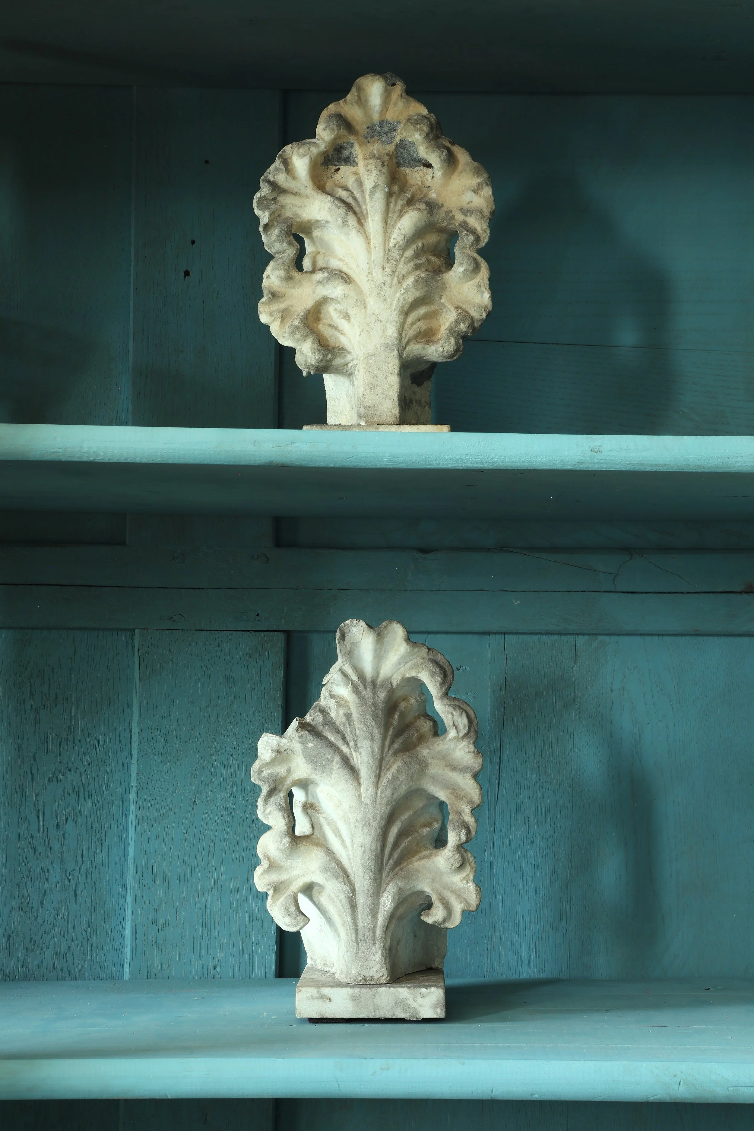 Curio Shop Spring 20244318.jpg