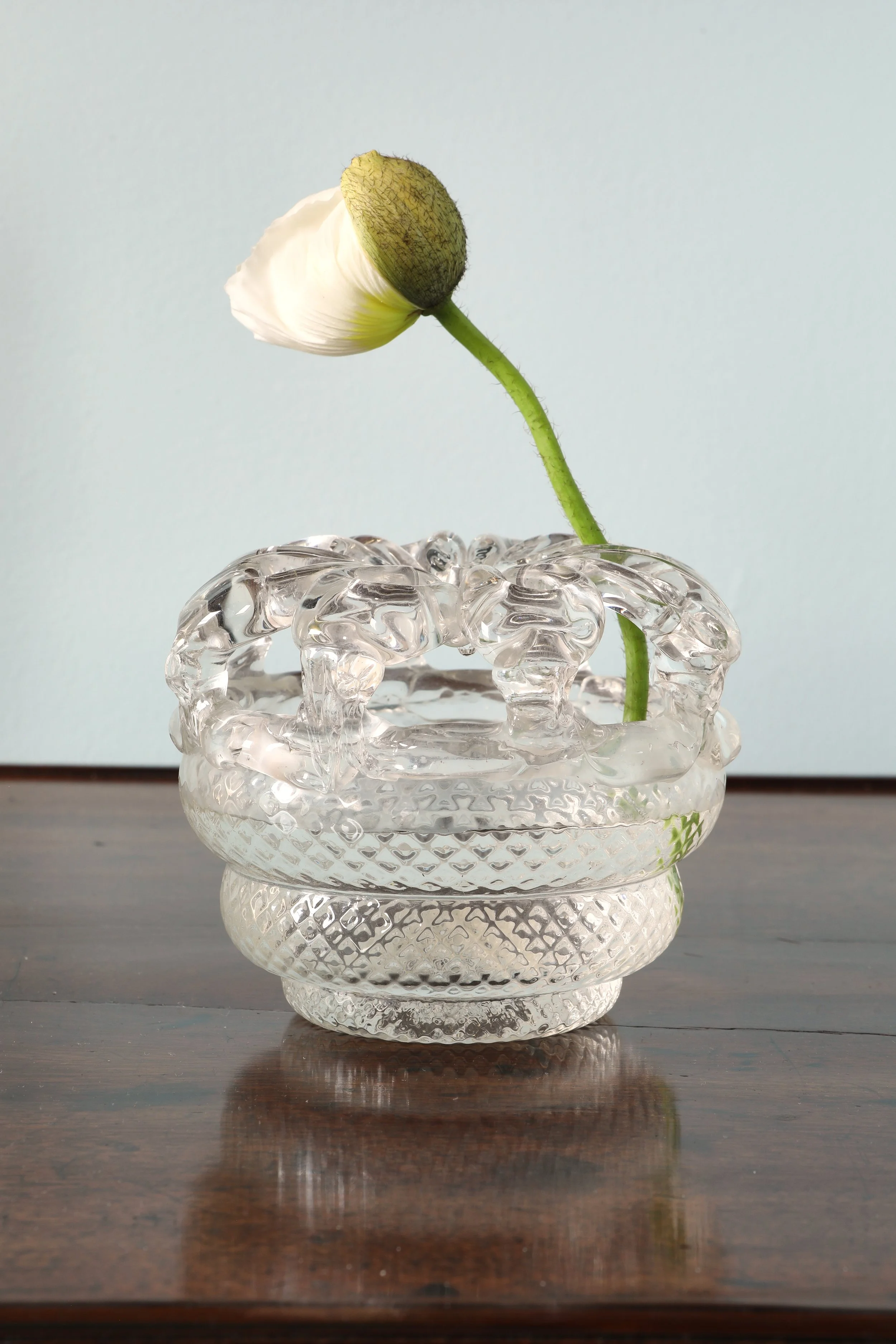 Curio Shop Spring 20240585 2.jpg