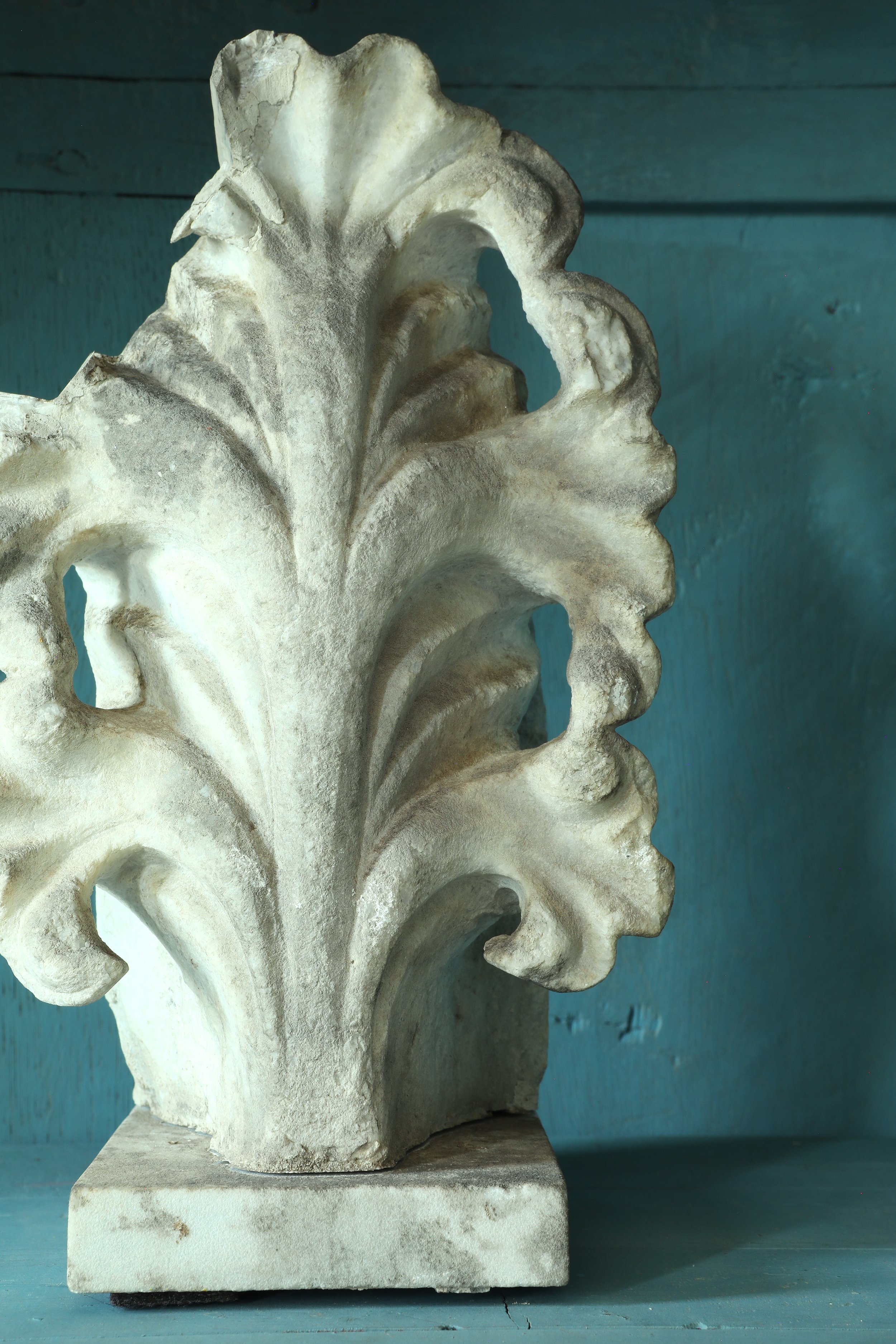 Curio Shop Spring 20244317.jpg