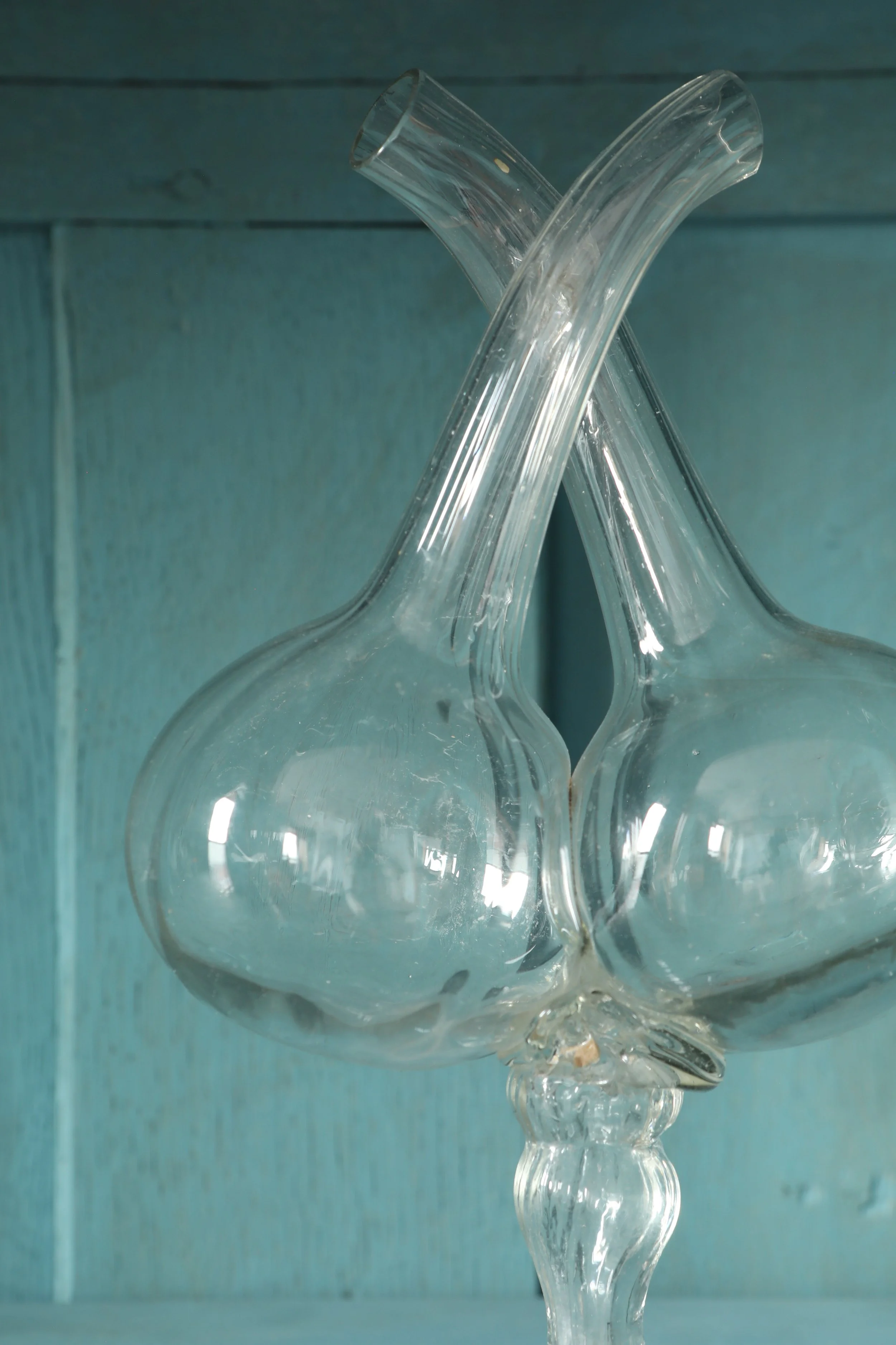 Curio Shop Spring 20241524.jpg