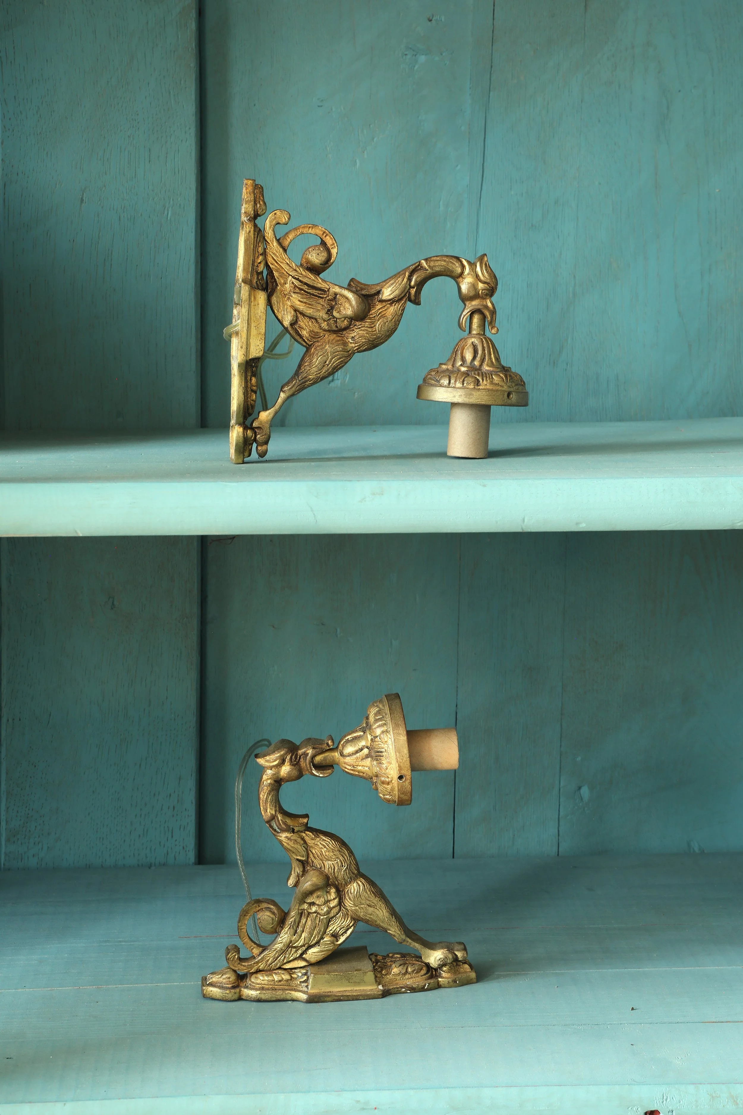 Curio Shop Spring 20243973.jpg