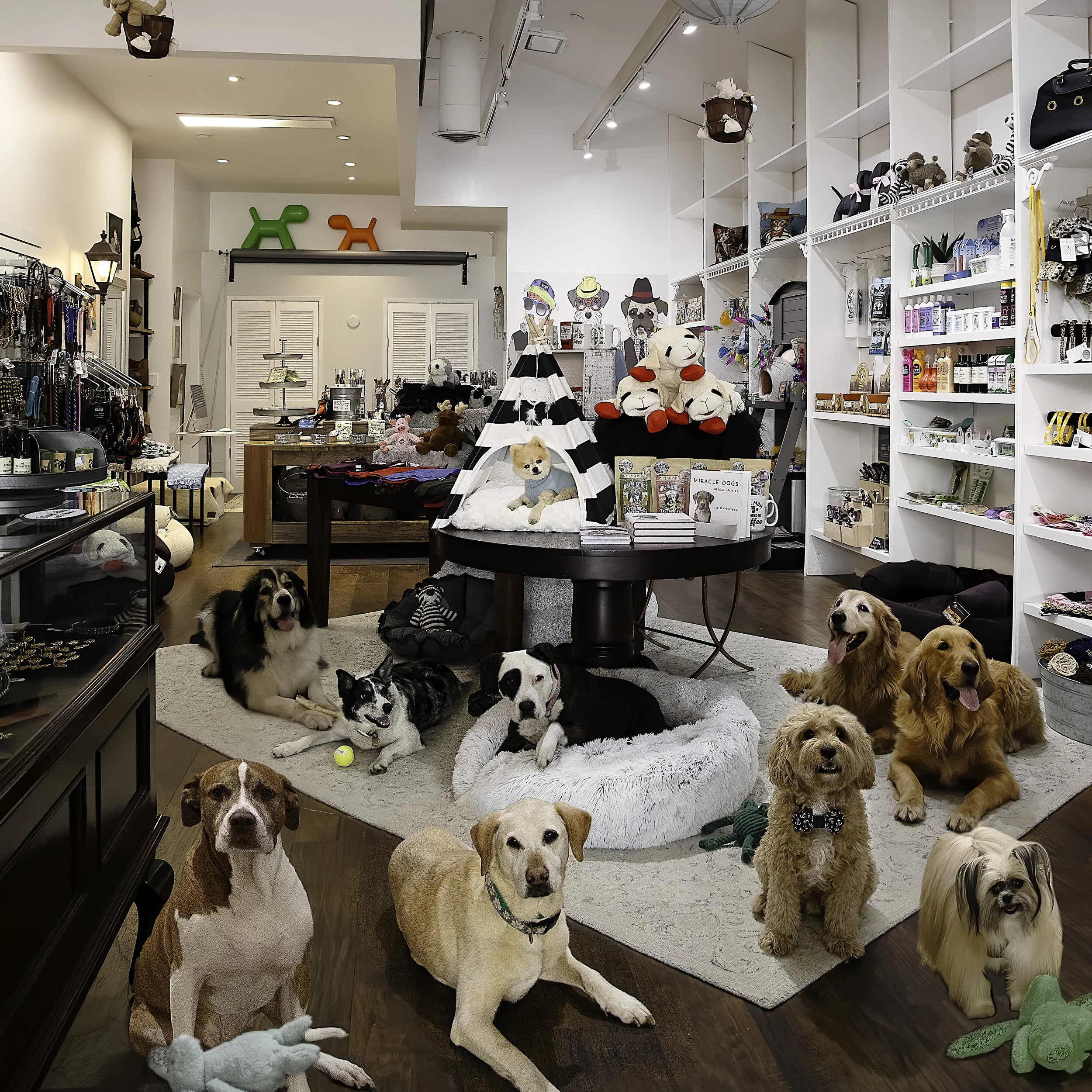 Welcome To Carmel Dog Shop