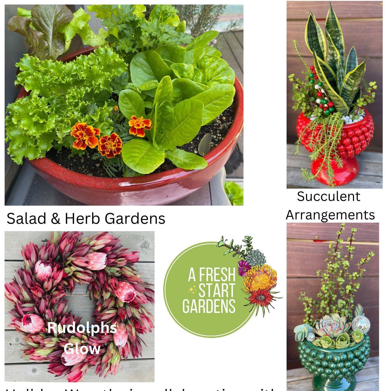 ✨ Dreams do come true! ✨ I'm thrilled to share that I showcasing my sassy succulent &amp; salad arrangements and custom made Protea wreaths by Crescent Hill Nursery at Christmas at Our House by St. Francis High School! 🌿🎅

🎁 If you're looking for 