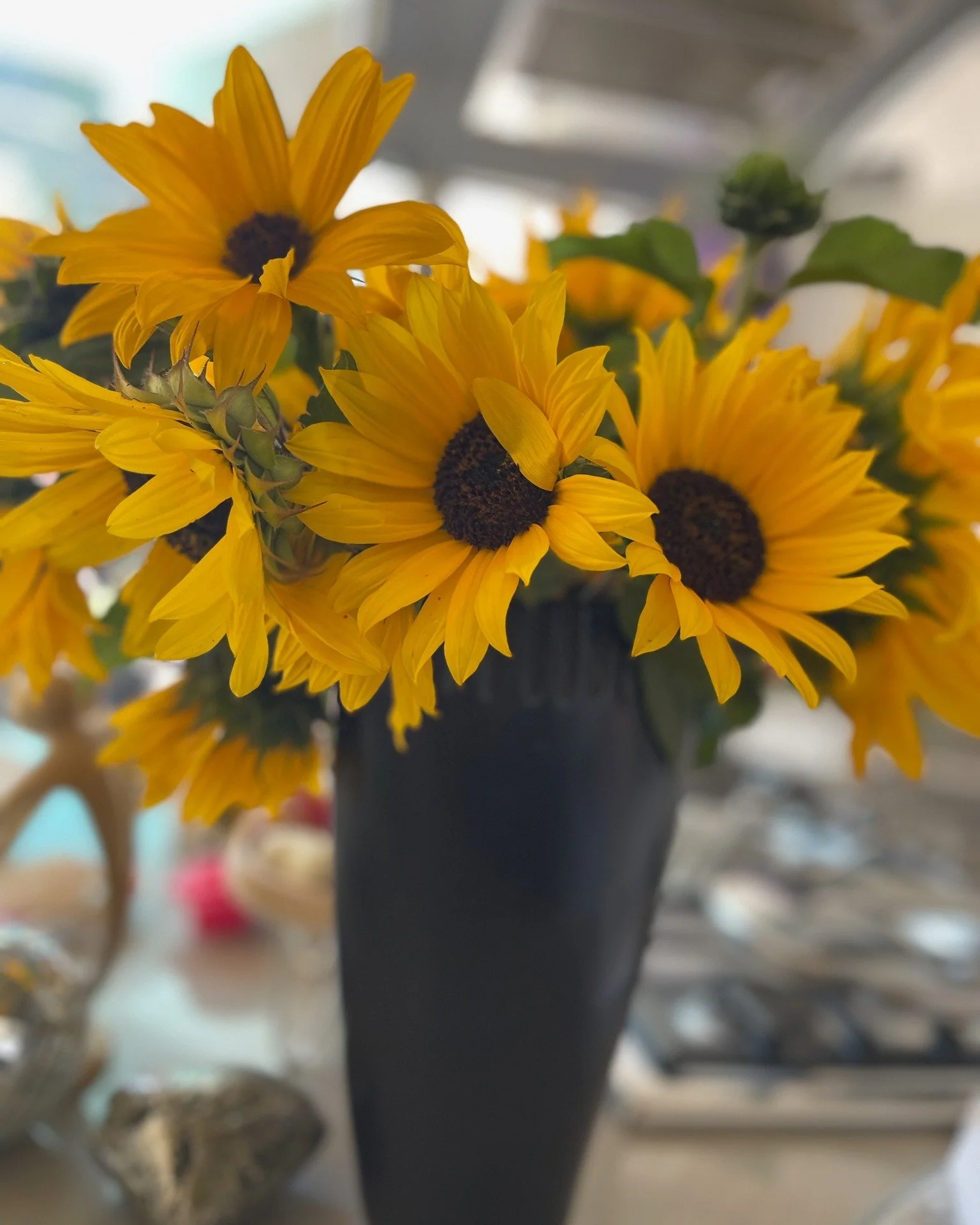 🌻☀️ Happy Fun Friday, everyone! 🌻☀️
Just had to share the incredible growth of the sunflowers in my garden! 🌱🌻 They're reaching for the sky, basking in the glorious sunshine. Nature's wonders never cease to amaze me! 🌞🌿

If anyone out there is 