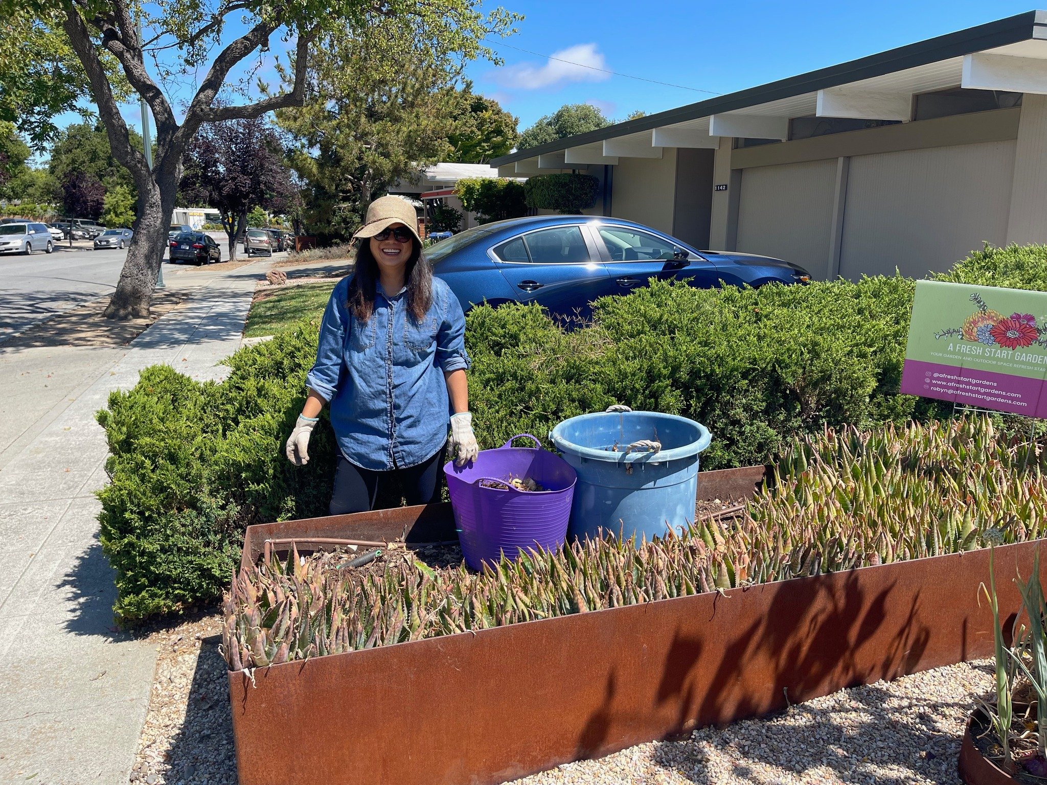 Aloe Vera!! As part of my business I want to ensure that no plants go to waste. Cathy the amazing garden fairy helped remove over 300 Aloes from my front yard and replant them at Animal Assisted Happiness. And now we have corn growing. Thanks for bei