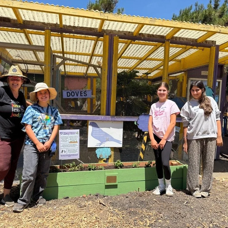 🌿✨ One of my favorite collaborators &mdash; @animalassistedhappiness 🐐💚

I love connecting people with nature, each other, animals, and themselves through gardens that bring joy and purpose. 🌸

During COVID, as I was getting my business started, 