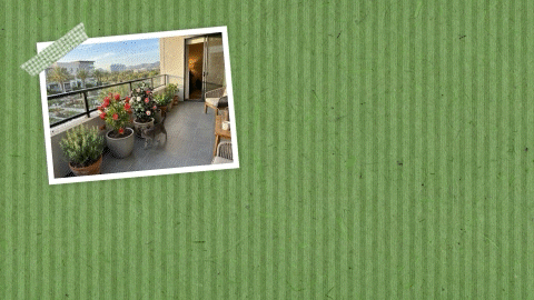 Comp 1.gif