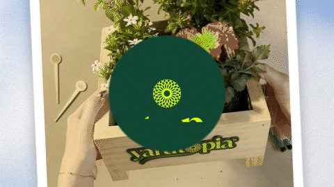 Comp 9.gif
