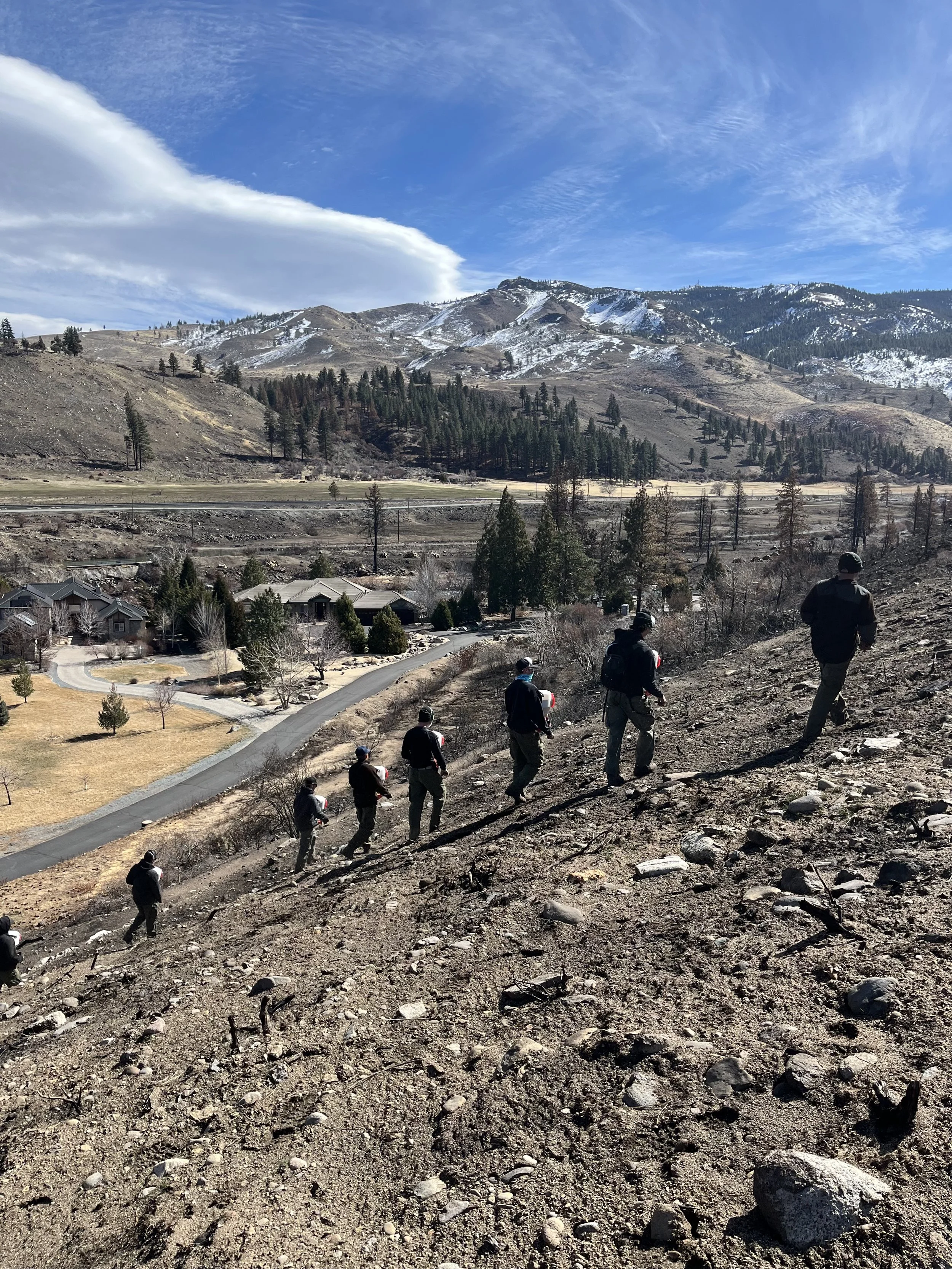 After The Fire: Restoring Vegetation in the Gold Ranch Burn Area