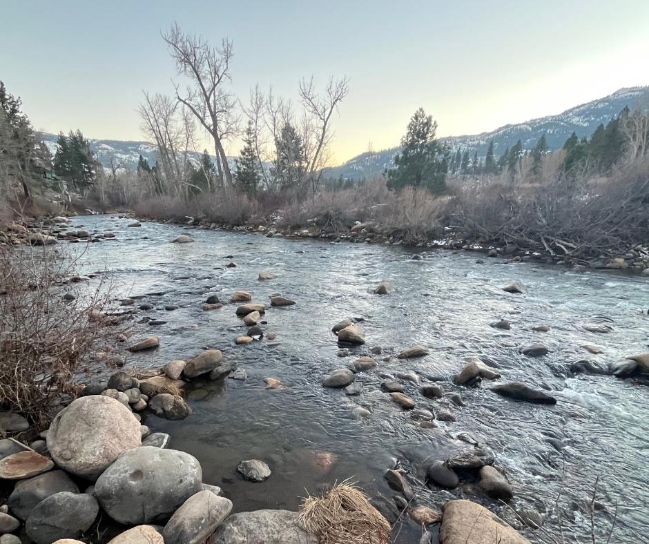 Find Your New Favorite Truckee River Park!
