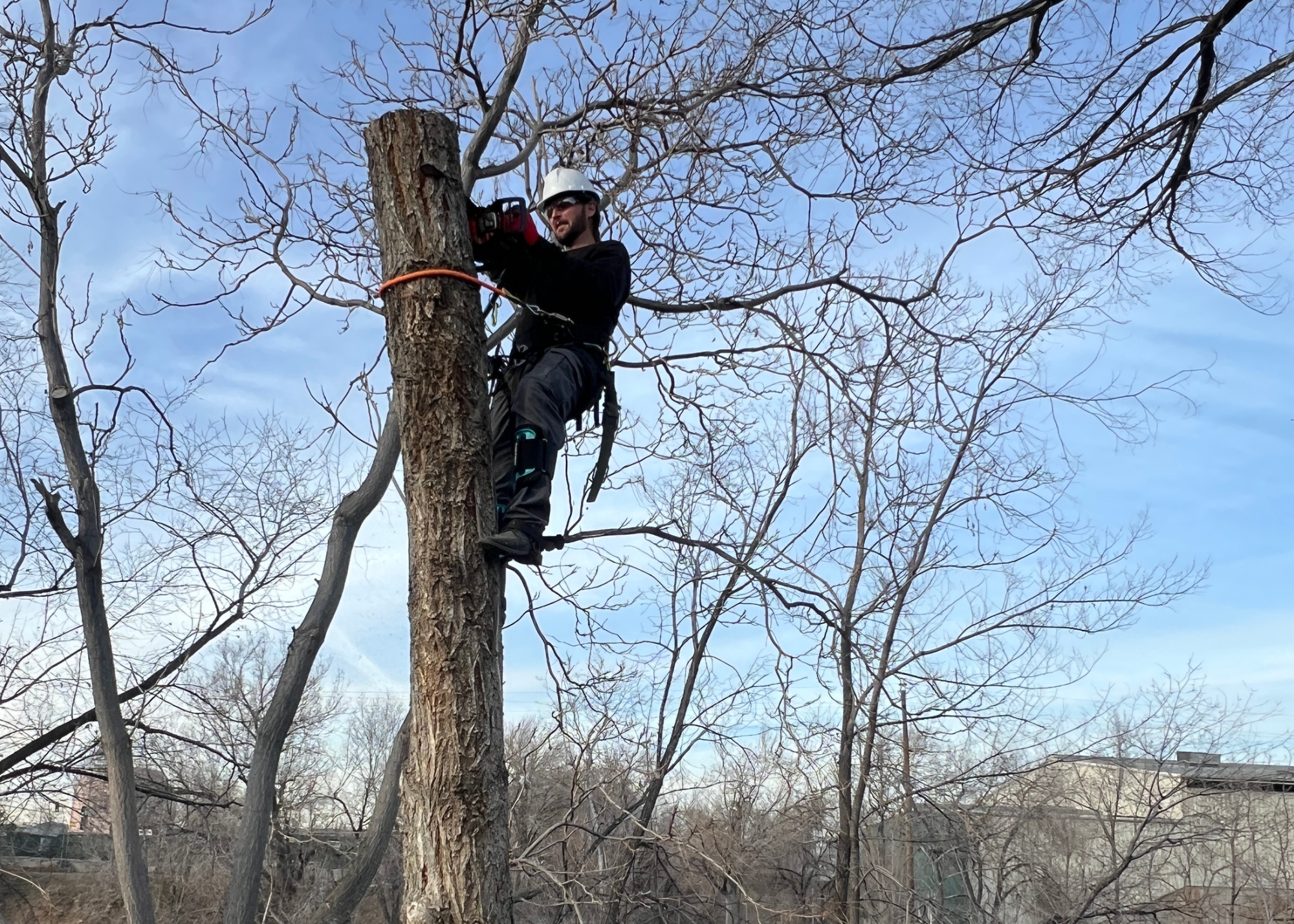 Gaetano Zorzi: Returning to His Roots