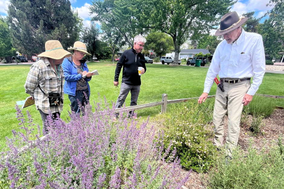 Making The Most of Water: Gardening Strategies with Tom Stille