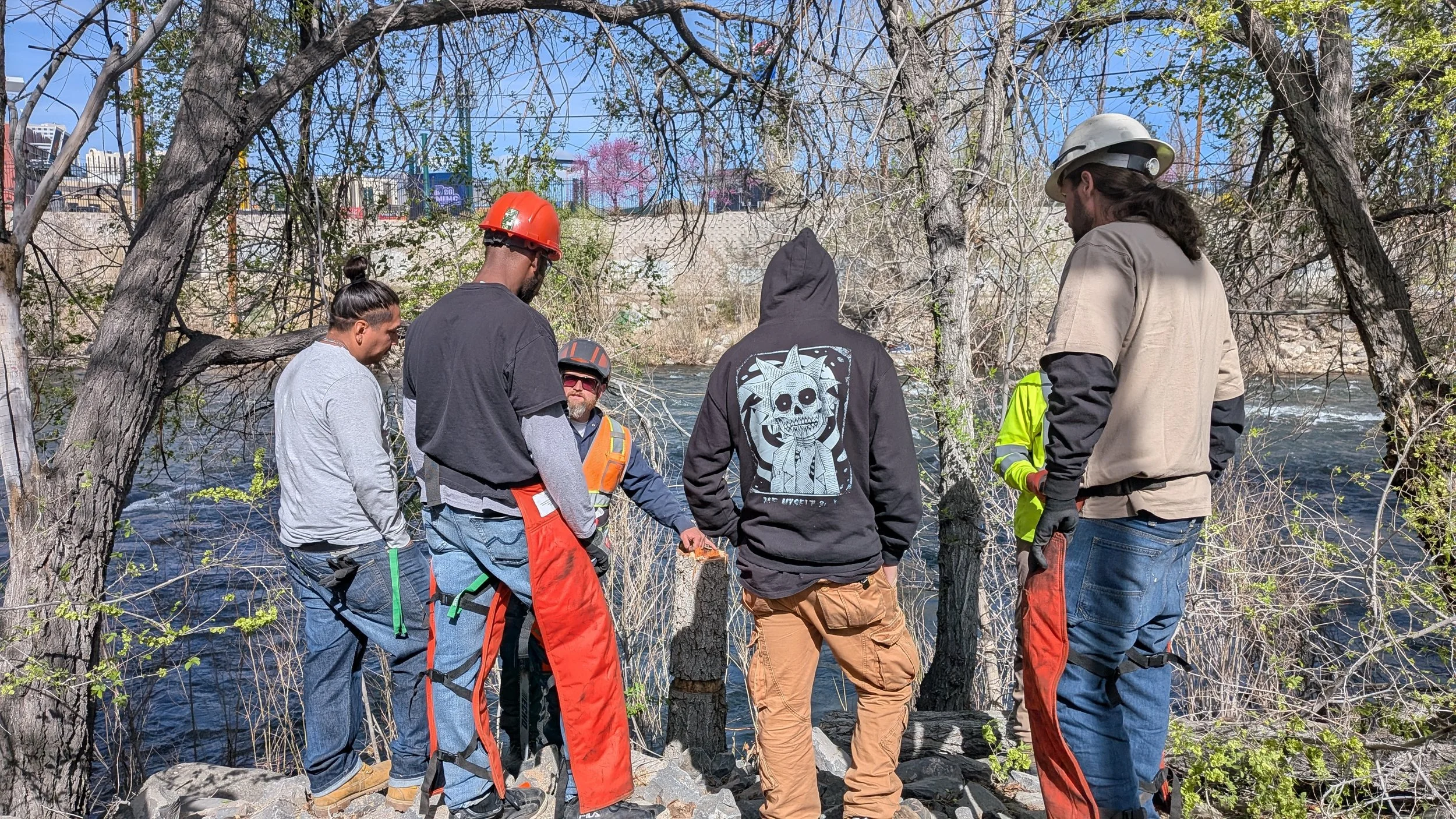 Expanding Reno’s Tree Canopy with Matt Basile