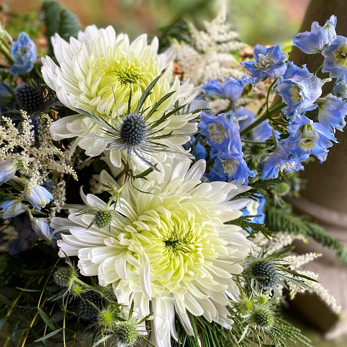 May there be peace and light. 
“We deliver Smiles, Joy and Happiness.”
www.Seiji-Ltd.net
 #smiles #joy #happiness #floraldesign #flowershop #flowers #sharinglove #philadelphia #Elkinspark #eastoaklane #phillywedding #weddingflorist #even