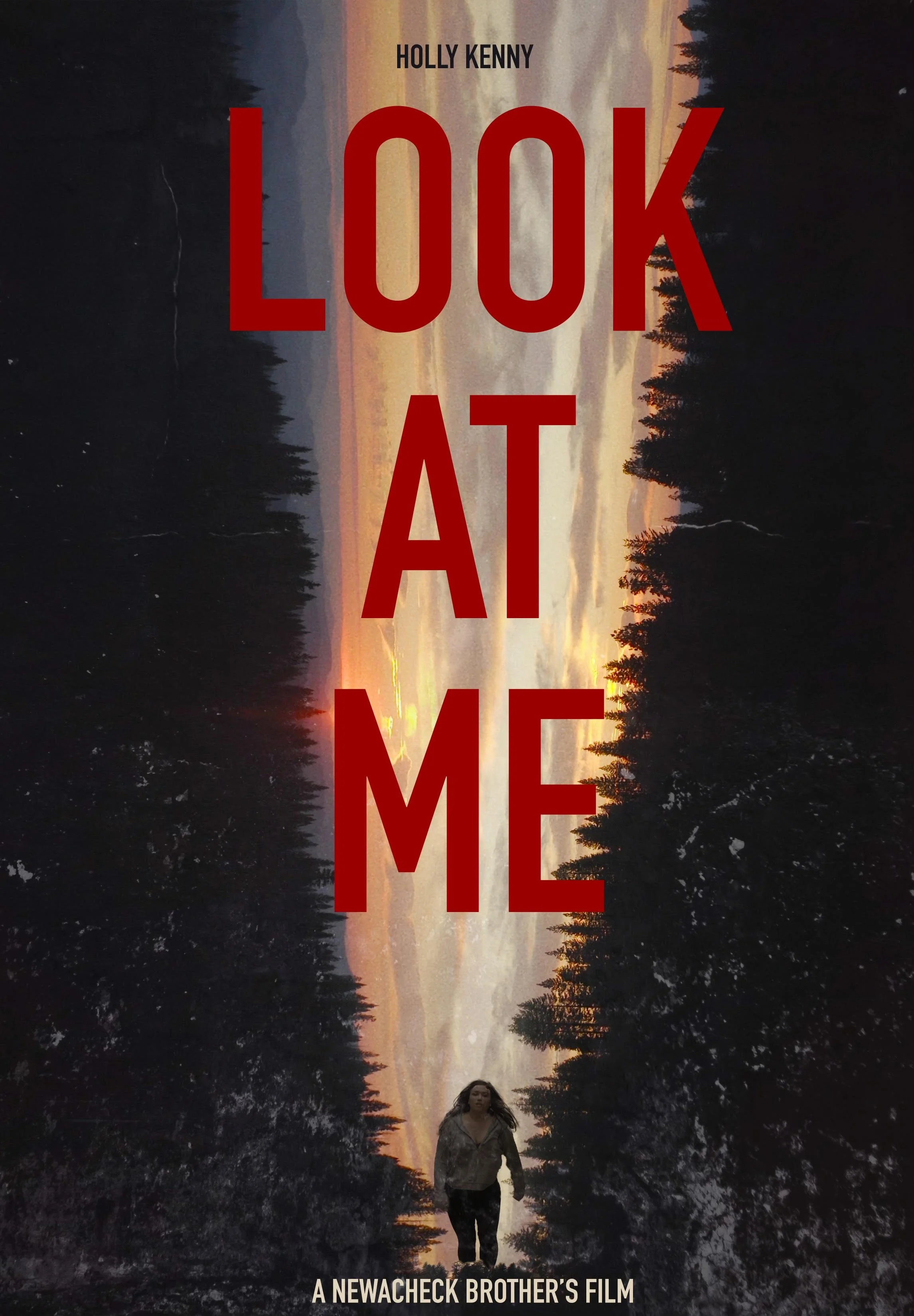 Stranger in the Woods