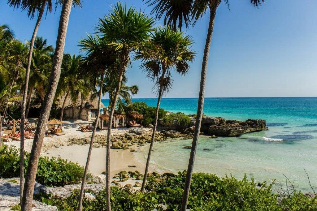 Are you ready for the best months in Tulum? vol #18