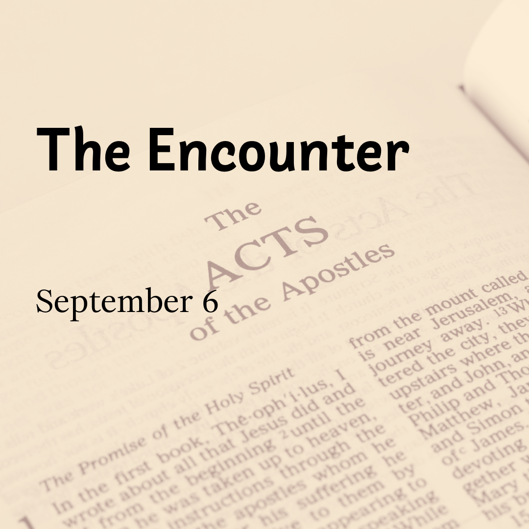 The Encounter
