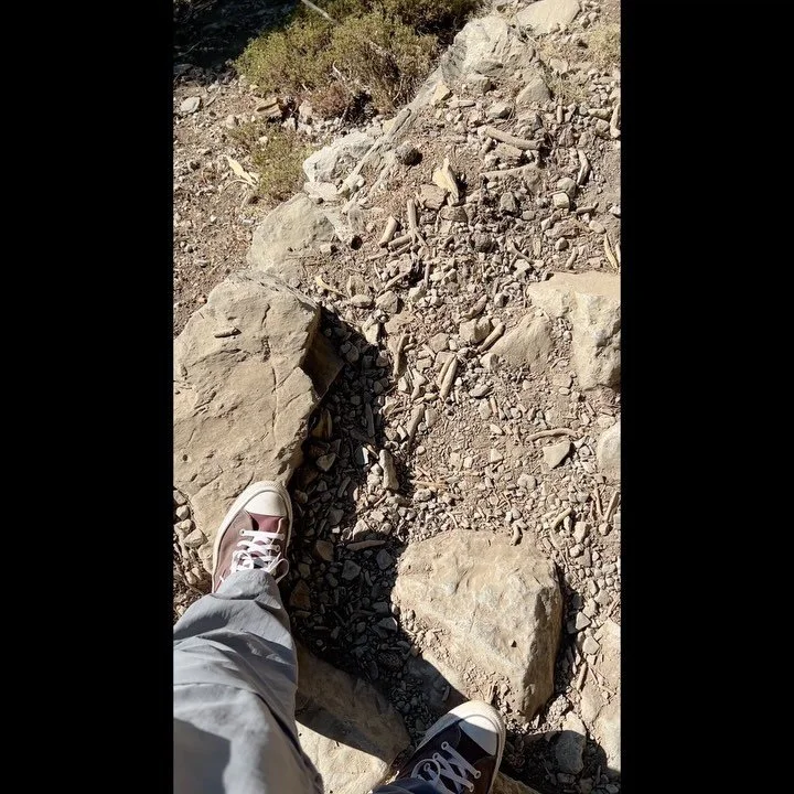 Converse-ing with nature at the Samariá Gorge.
———-
The gorge is in southwest Crete in the regional unit of Chania. It was created by a small river running between the White Mountains (Lefká Óri) and Mt. Volaki