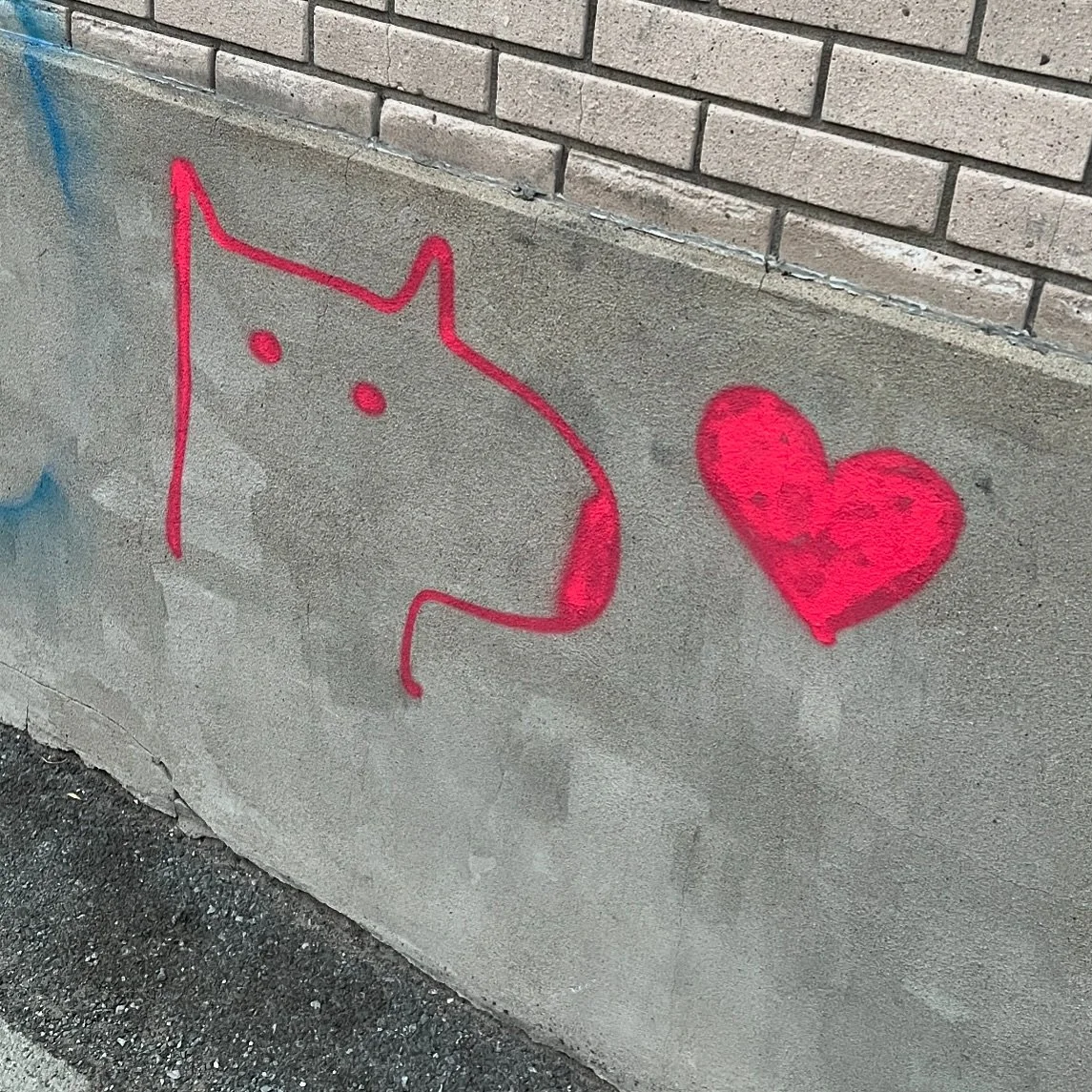 Hey Montreal friends. Anybody in the graffiti world and knows who does these Villeray/Rosemont/La Petite Patrie? Thank you 
#montreal #rosemont #villeray #montrealgraffiti #lapetitepatrie #graffiti #coolgraffiti