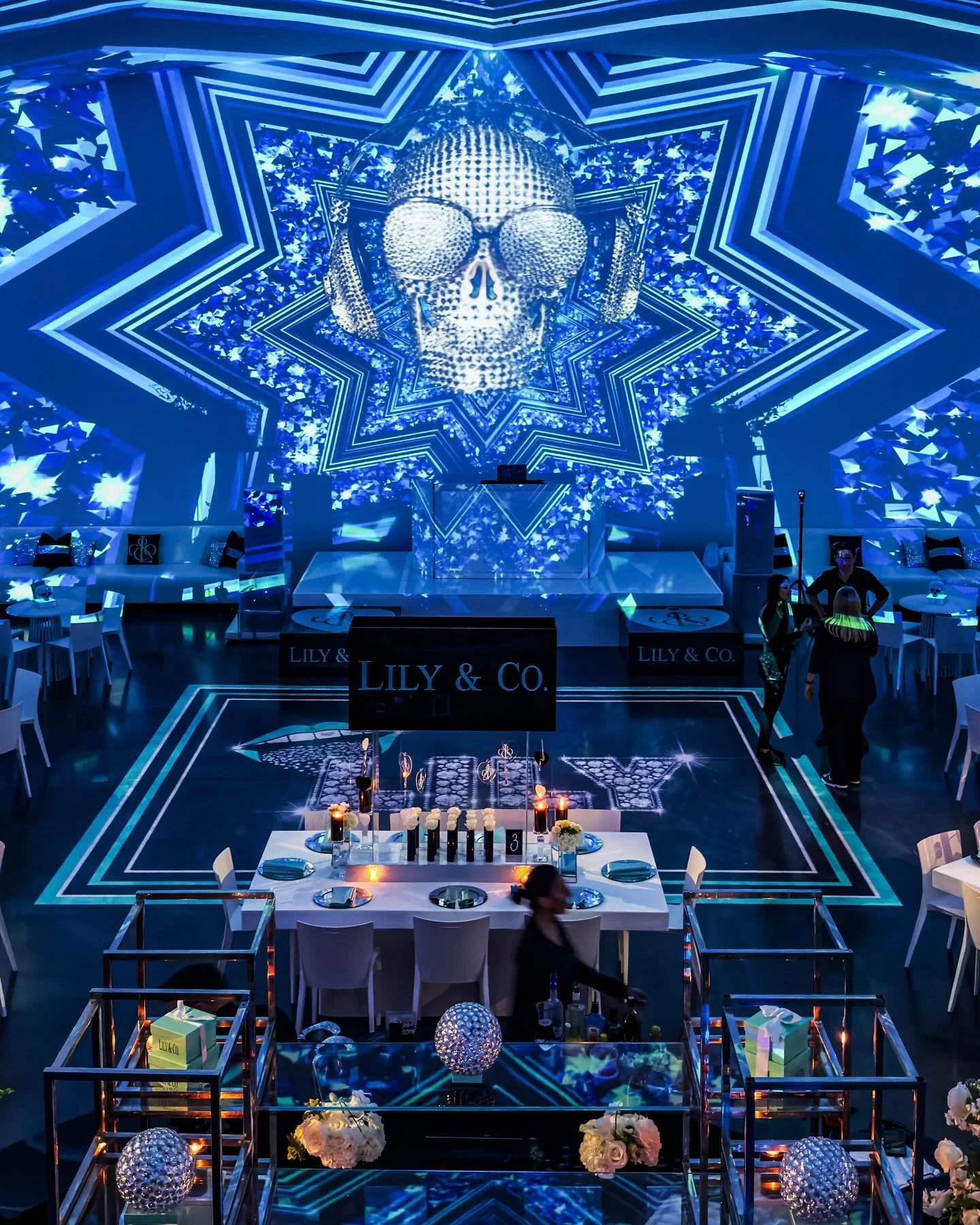 💀💀💀💎💎💎
No scary skulls here just luxurious diamond crystal skulls for this fabulous party!! 
A fabulous, sparkling diamond meets urban street culture celebration.  Inspired by Tiffany &amp; Co. with diamond accents and diamond skulls, hip hop s