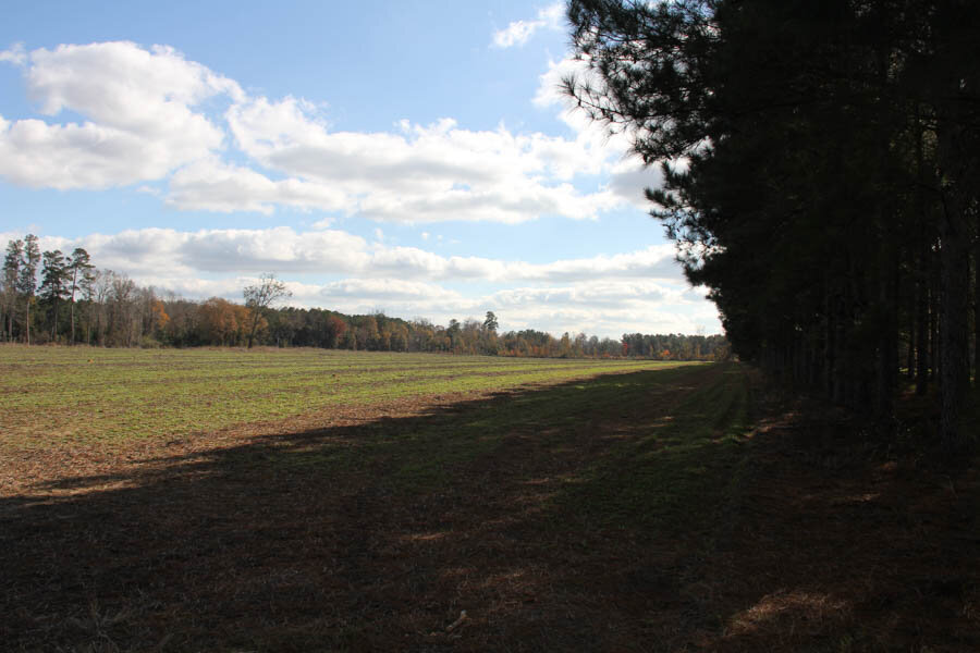 FOUR HOLES TRACT 69.3 ACRES - $287,55