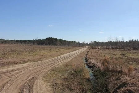 BETHEL FOREST RD TRACT Orangeburg, SC - 42 acres - $147,000