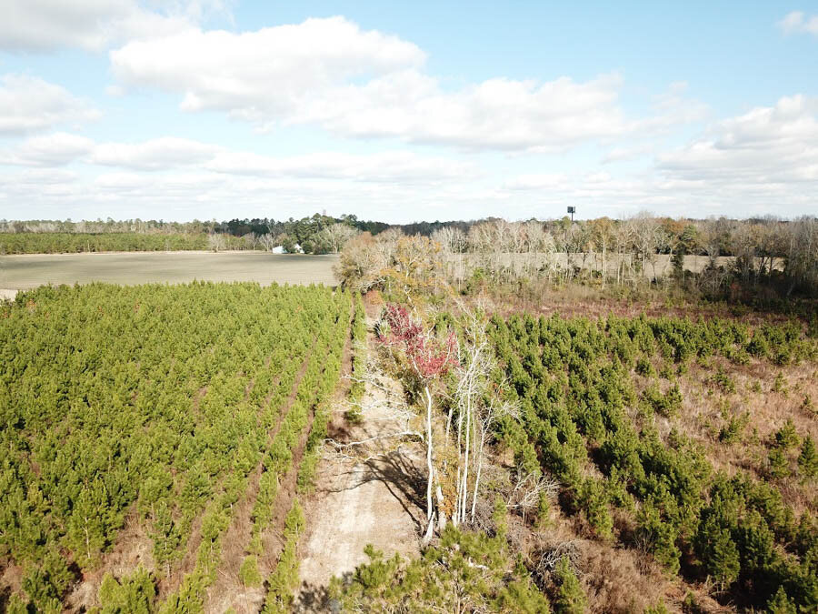 DJI_0107_d2a274dff7b78ff72659c7cdcb91f023.jpg