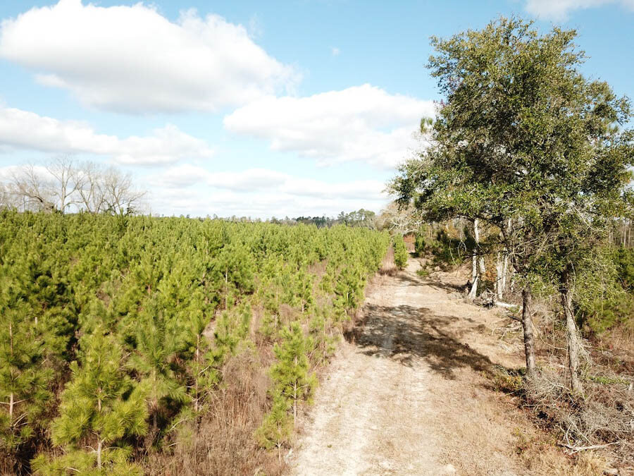 DJI_0106_52f1162ca36ef706df4e7d19e2d3bd5e.jpg