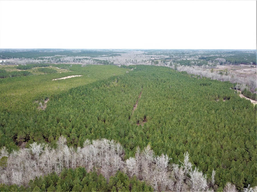 DJI_0172_c093d874aa046c2bdebdba17e7eb4b28.jpg