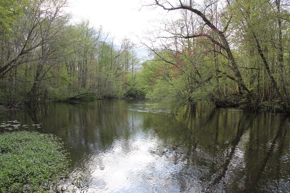 POOL TRACT Cope, SC - 85.25 acres - $279,000     