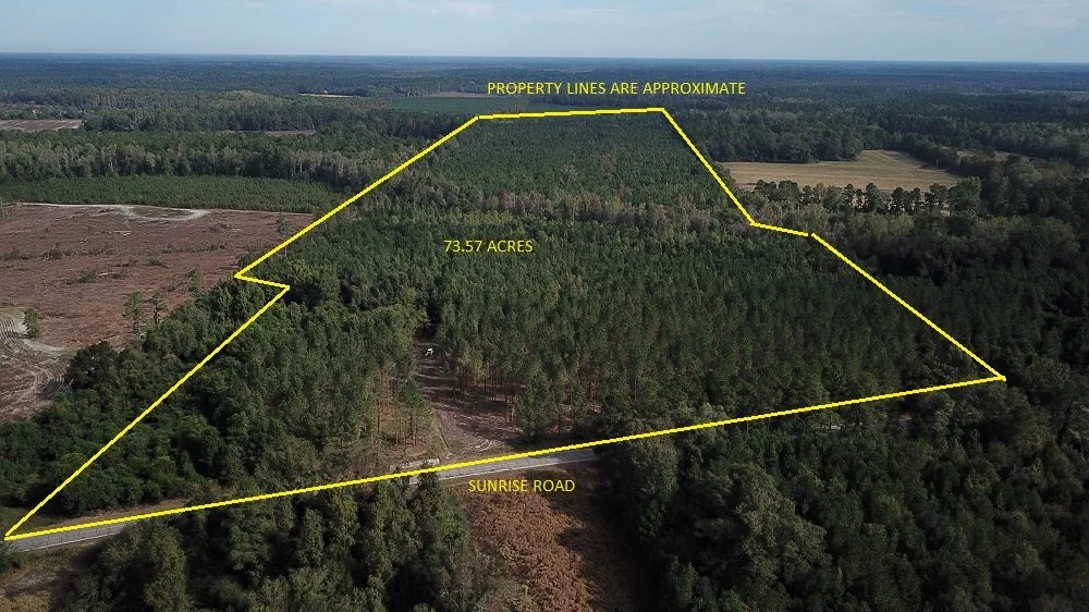                      Sunrise tract - 73.57 acres   Smoaks, SC  $250,138