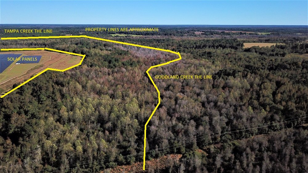 The Springfield Tract - 270 Acres +/-                                  $594,000
