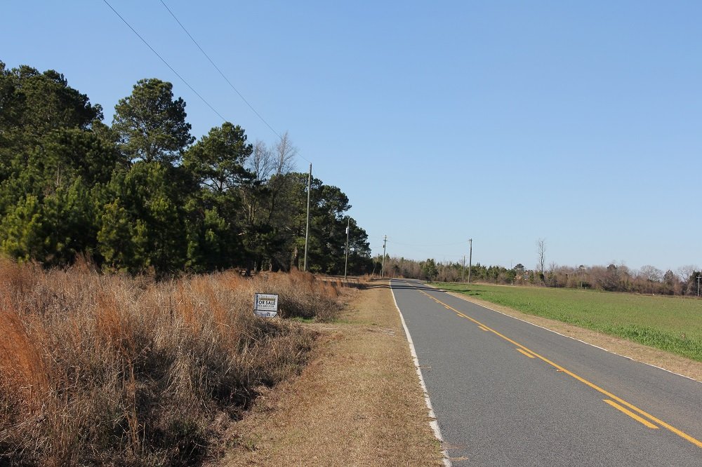 Shulmer Road Tract   (19.6 Acres)                 $100,000  Available   