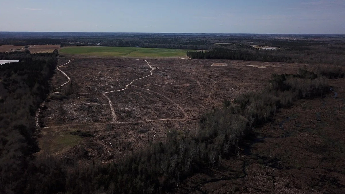 New Forest Rd Tract (155.52 Acres)          $465,782     SOLD !!