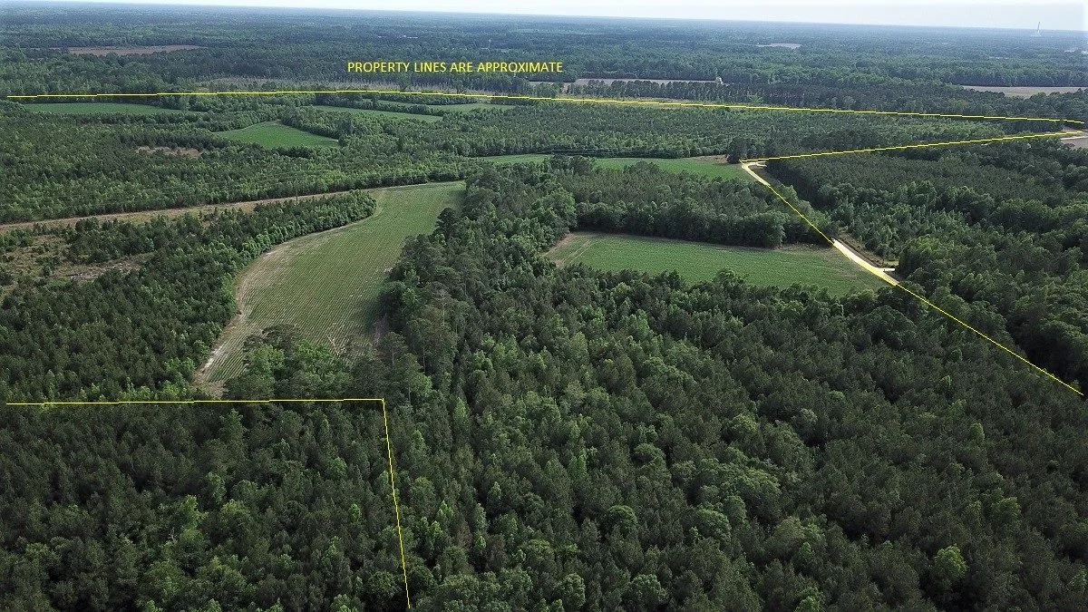 capps tract - 241.95 acres     $846,825     SOLD!!!