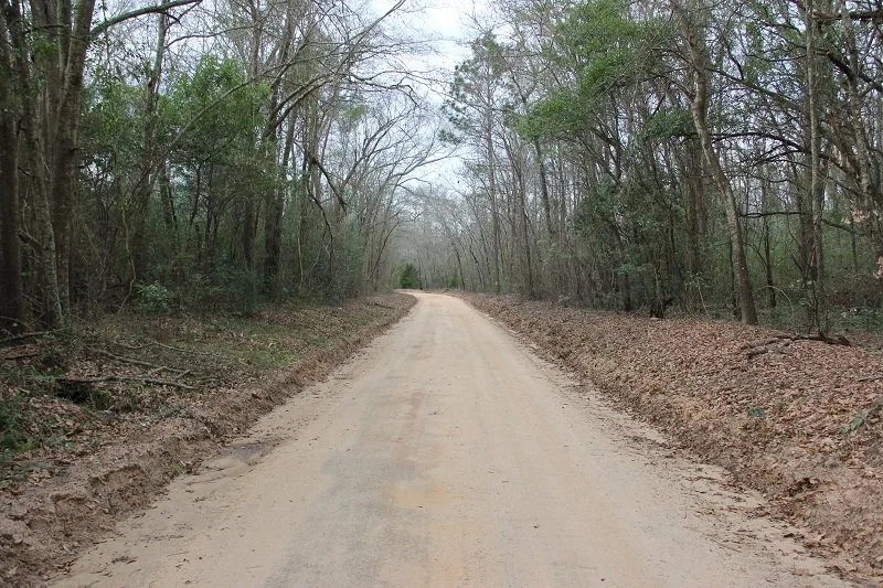 Air Base Rd Tract 2      13 Acre    North,SC     $52,000  SOLD!!!